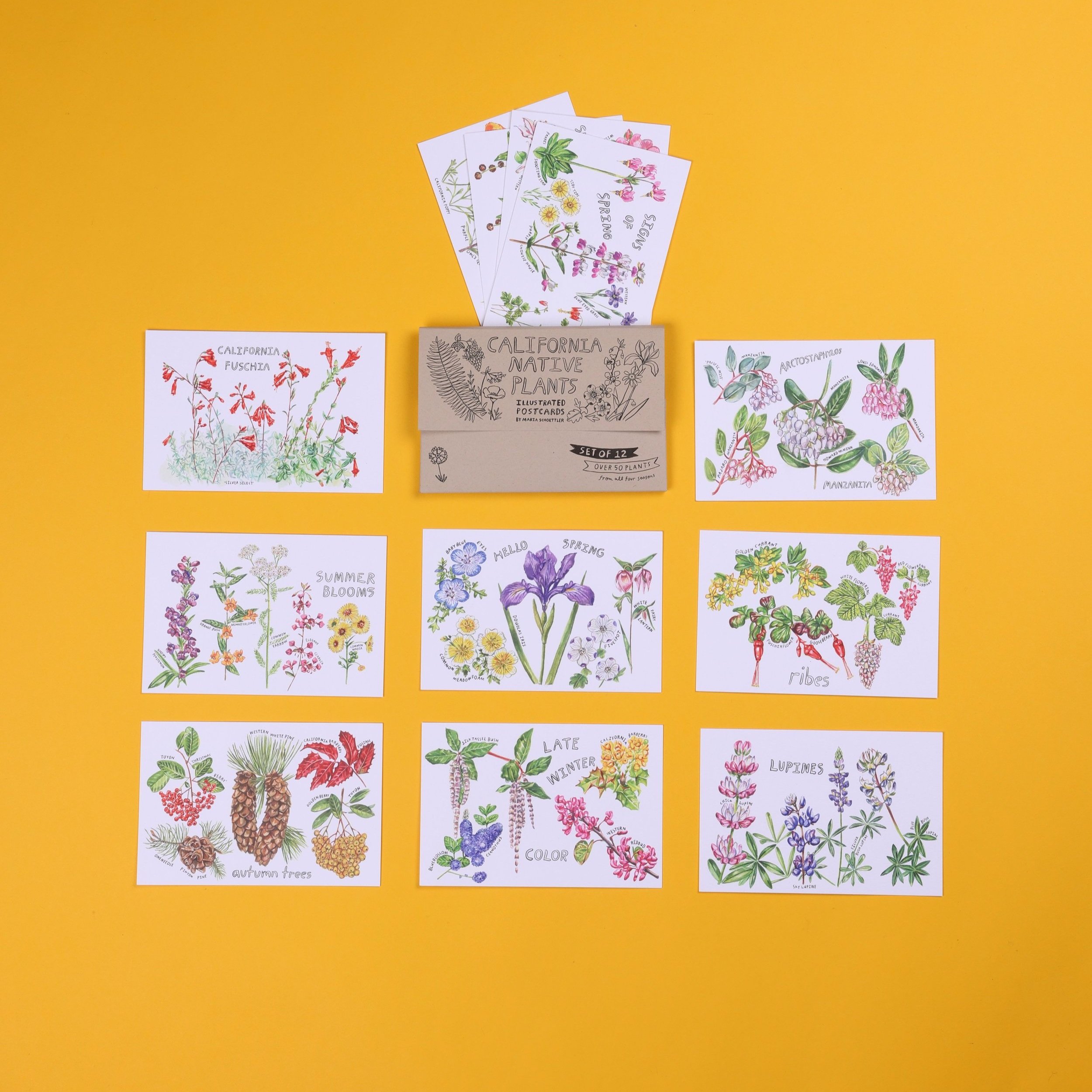 NEW & improved California Native Plants Postcards - Set of 12