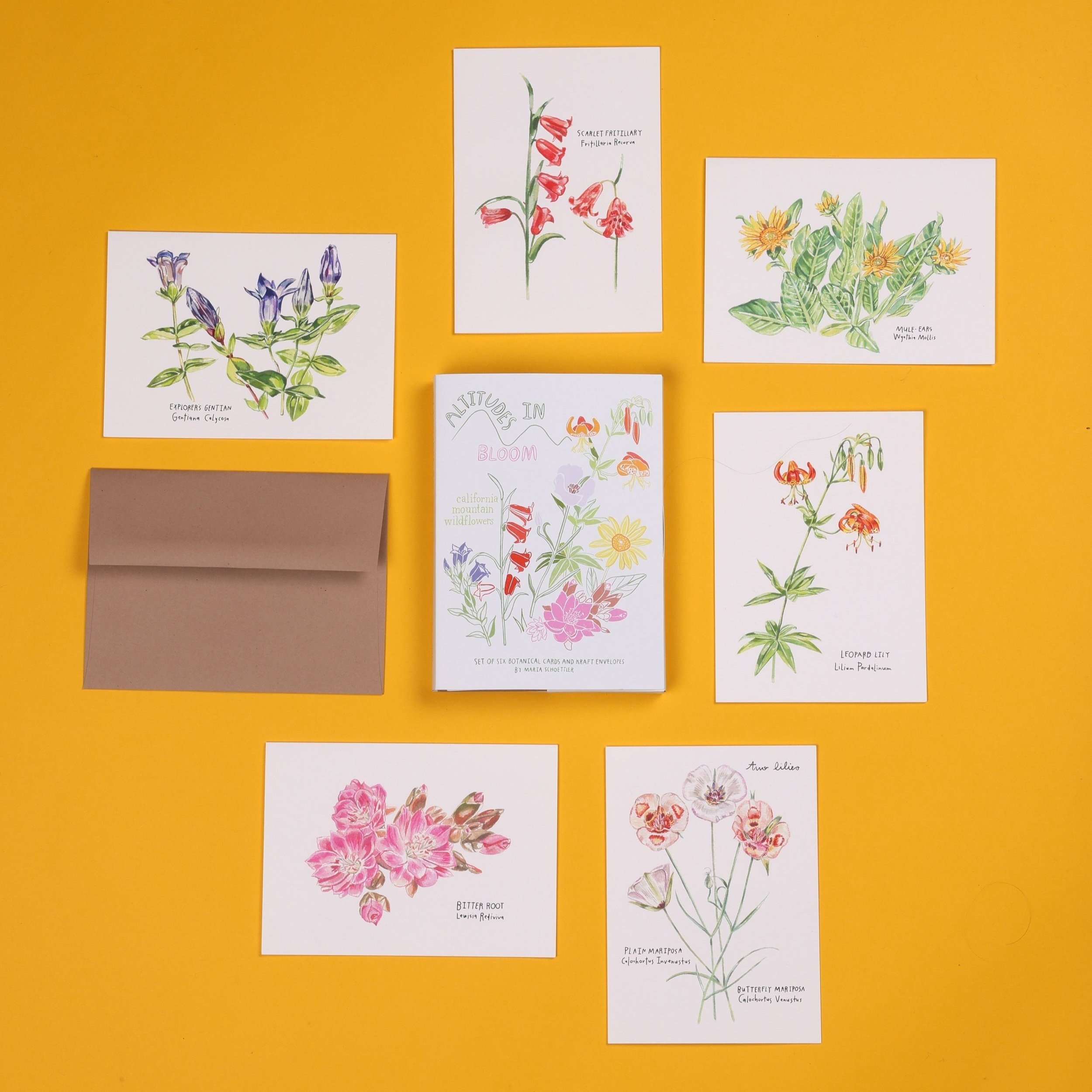 Altitudes in Bloom- Card Set of 6