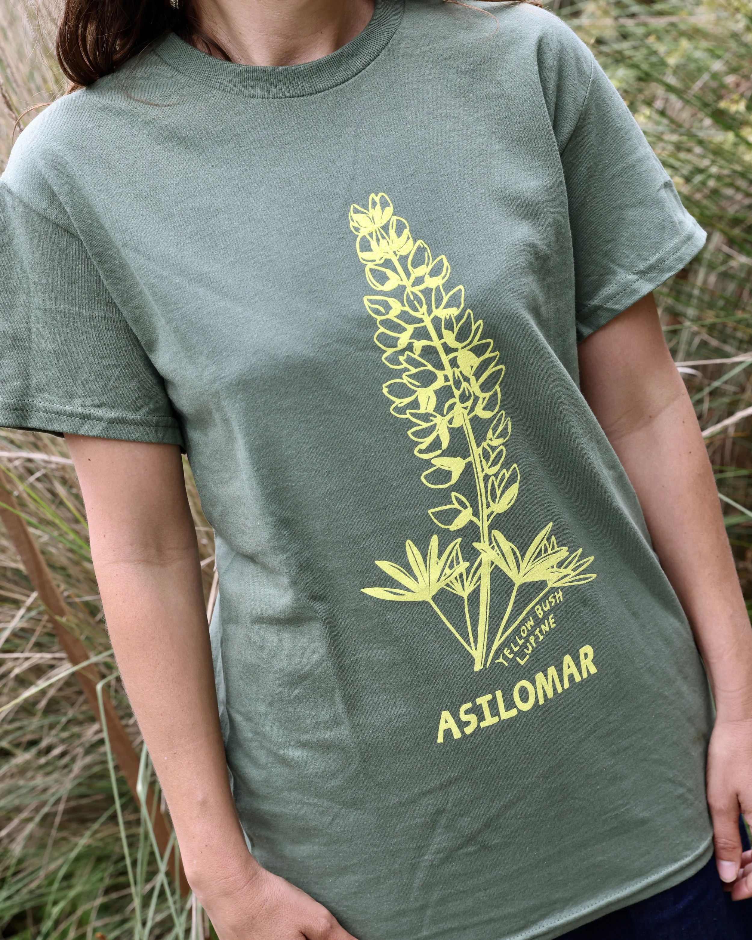 yellowbushlupine_full.JPG