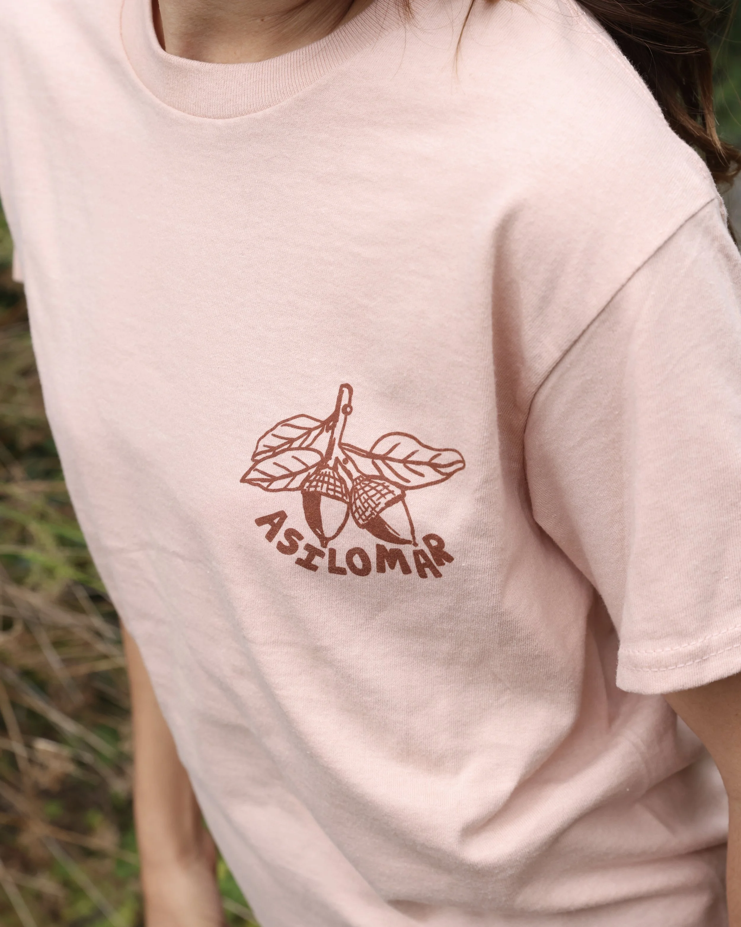 Plantsofasilomar_pink_detail.JPG