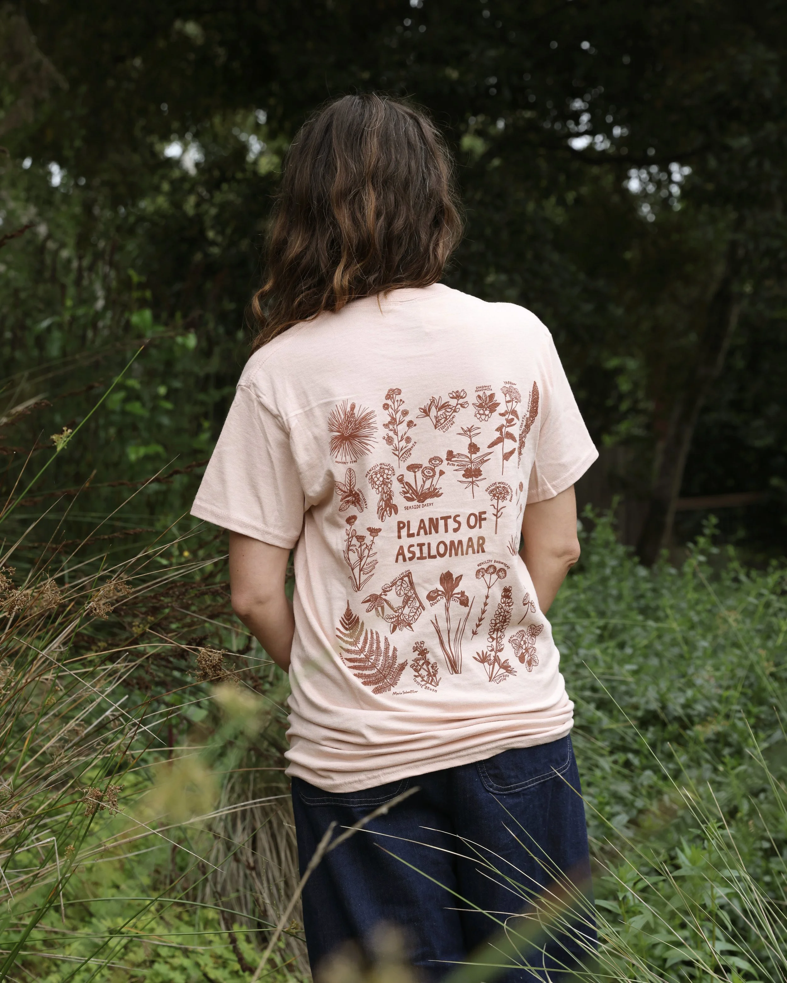 Plantsofasilomar_pink_full.JPG