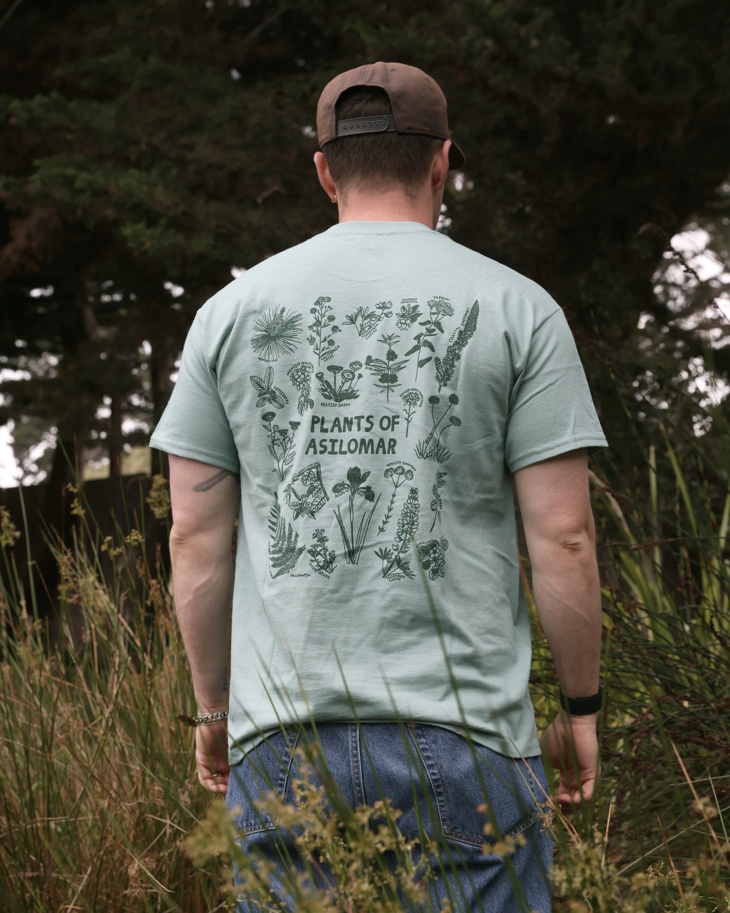 Plantsofasilomar_green_full.JPG