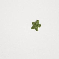 16_Sprout_Mneumonic_sq.gif