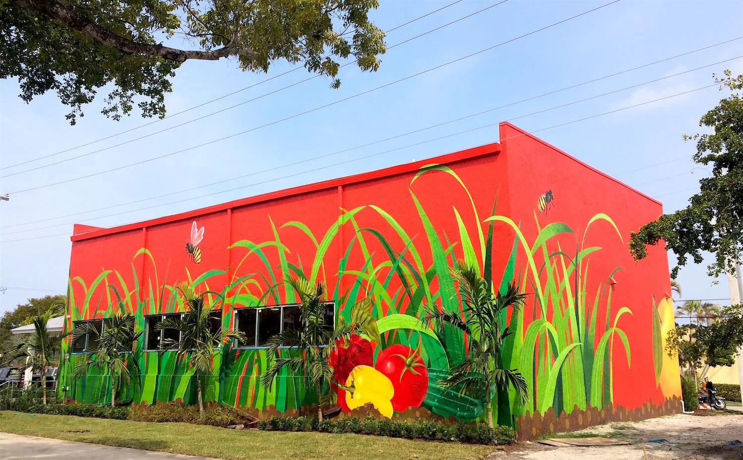 Commissioned Large-scale Mural for Bedners | Delray Beach USA, 2016