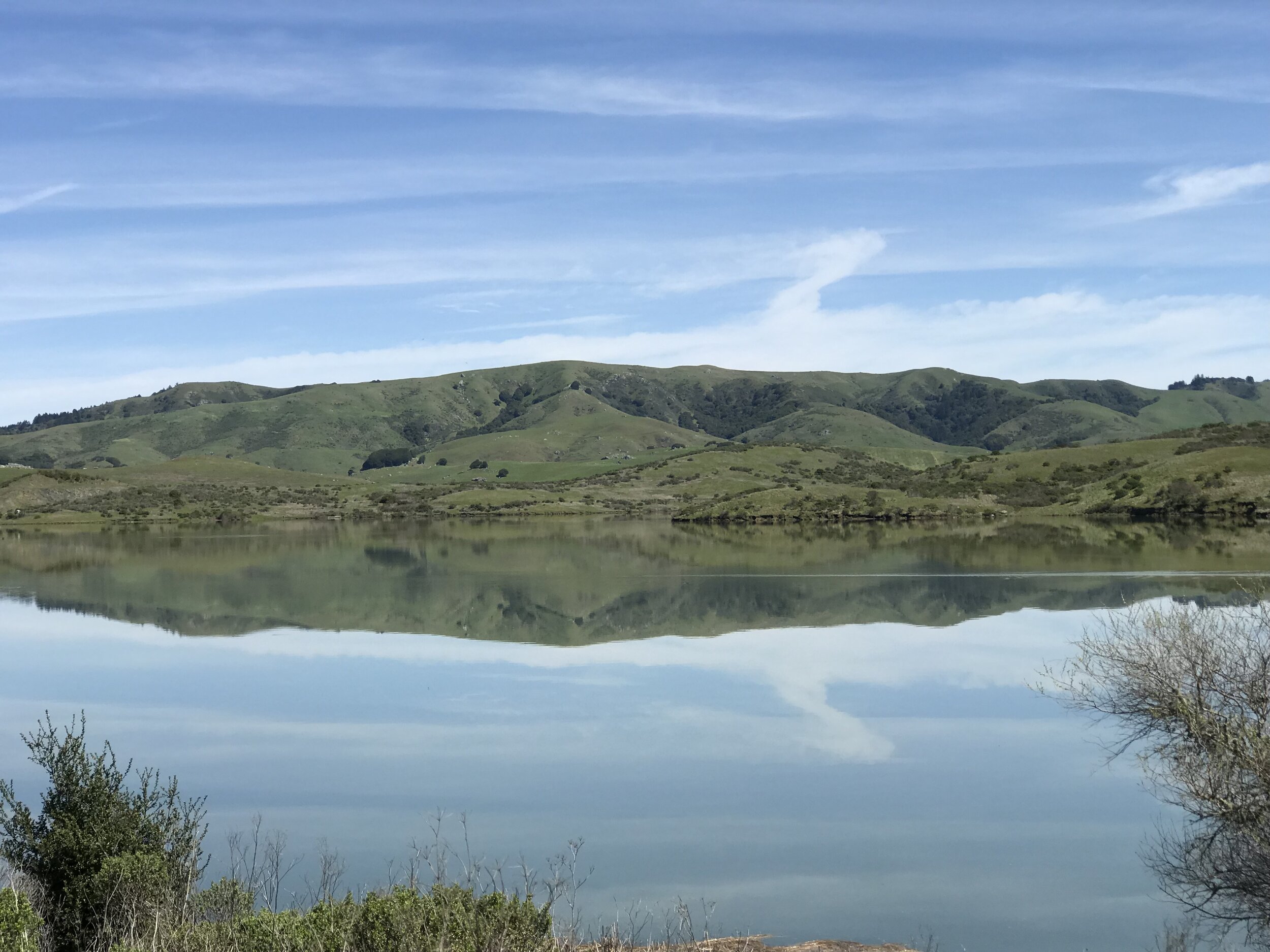 IMG_7552 Fog on the Bay.JPG