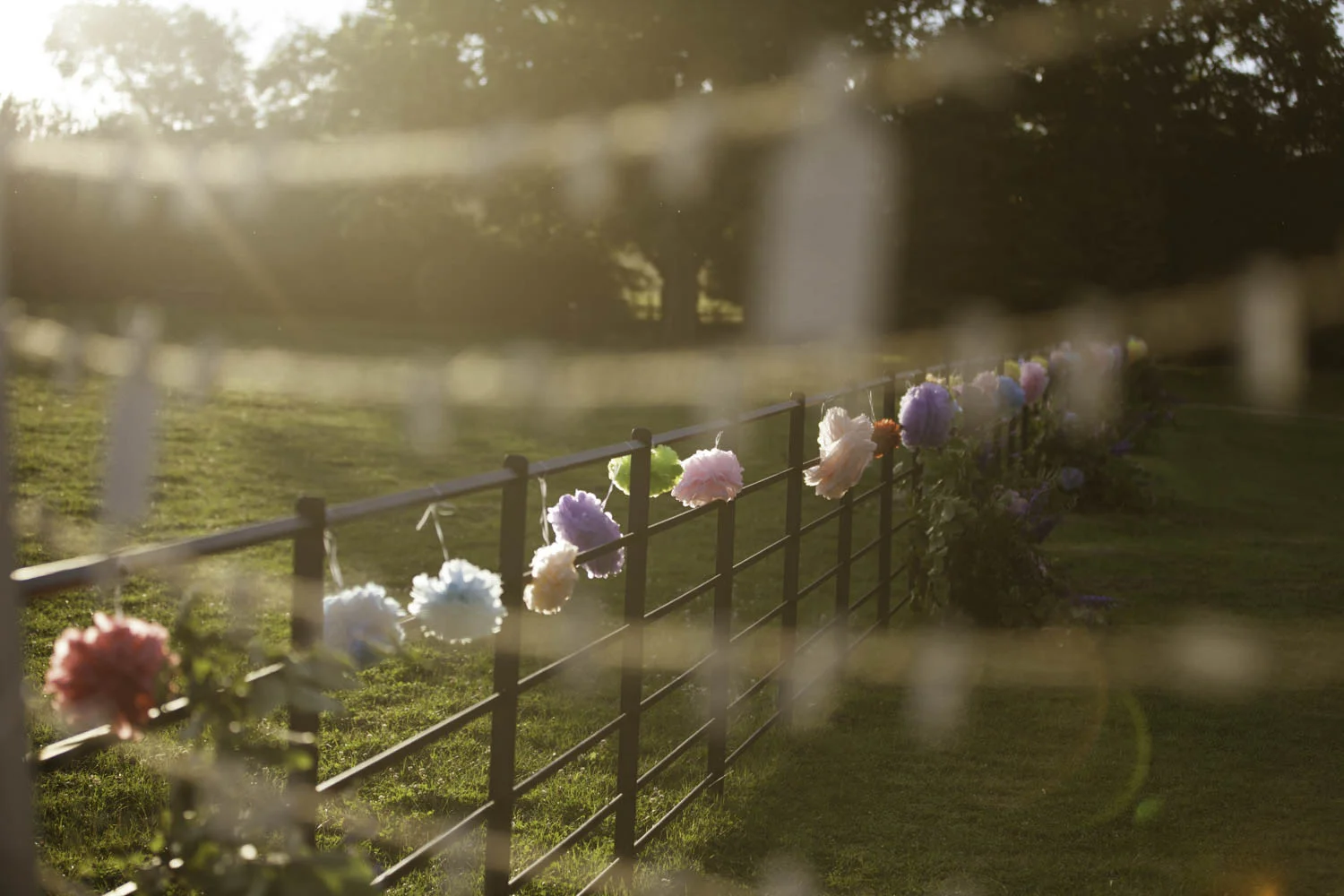 Oliver Blackwell Photography-23.jpg