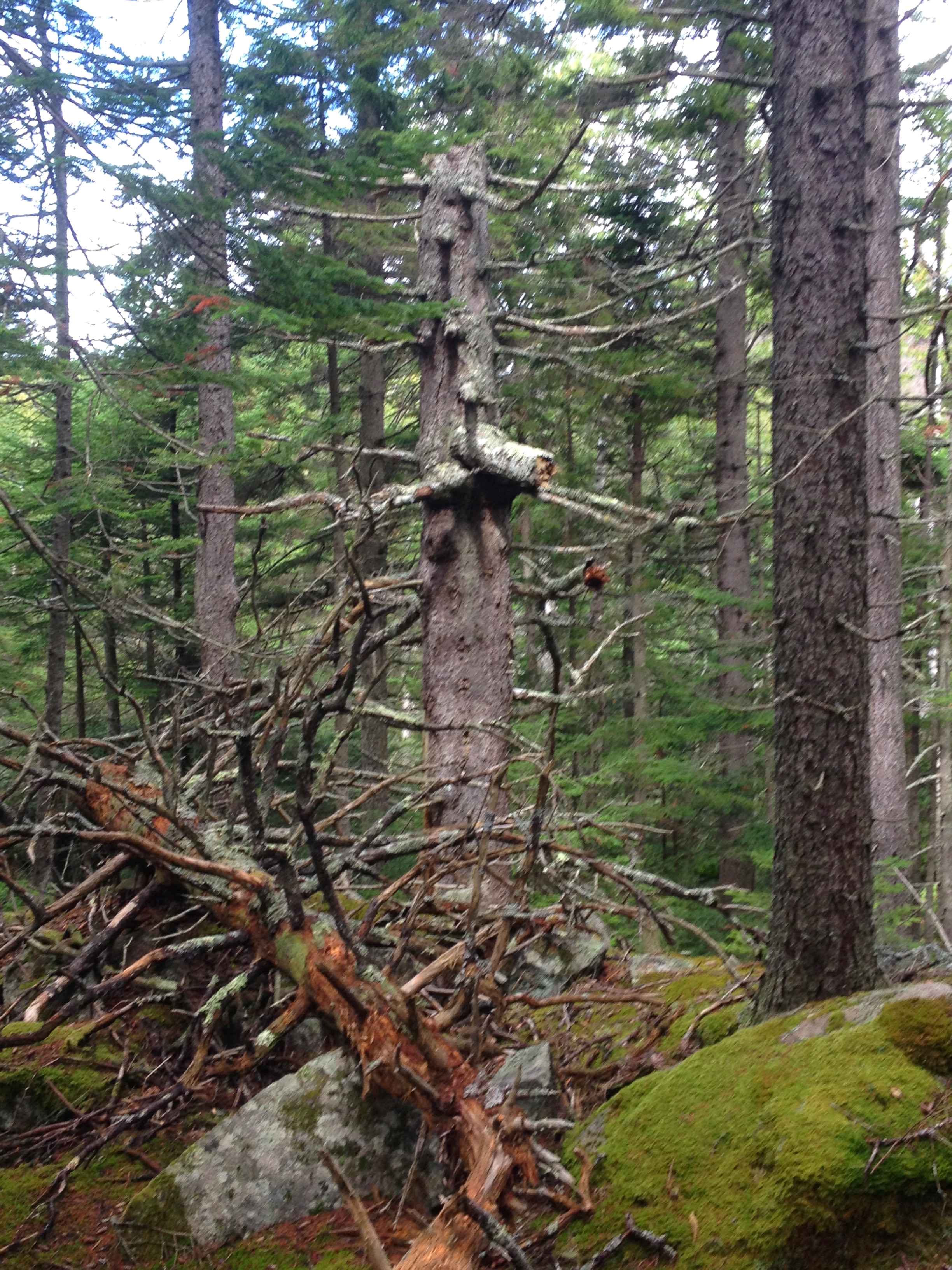 Tyese are images of the majesty of nature's cycles 