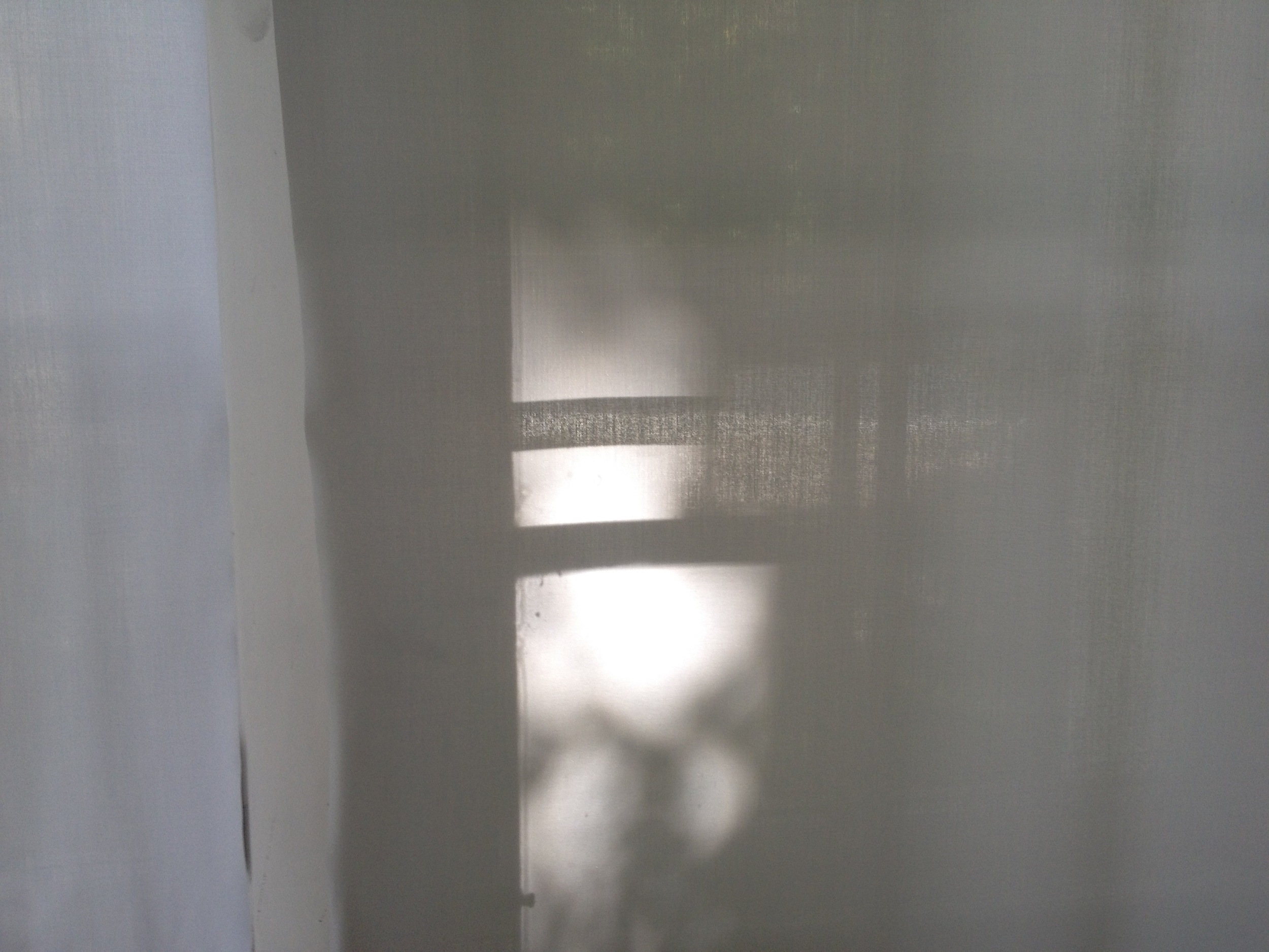 Reflection (5)