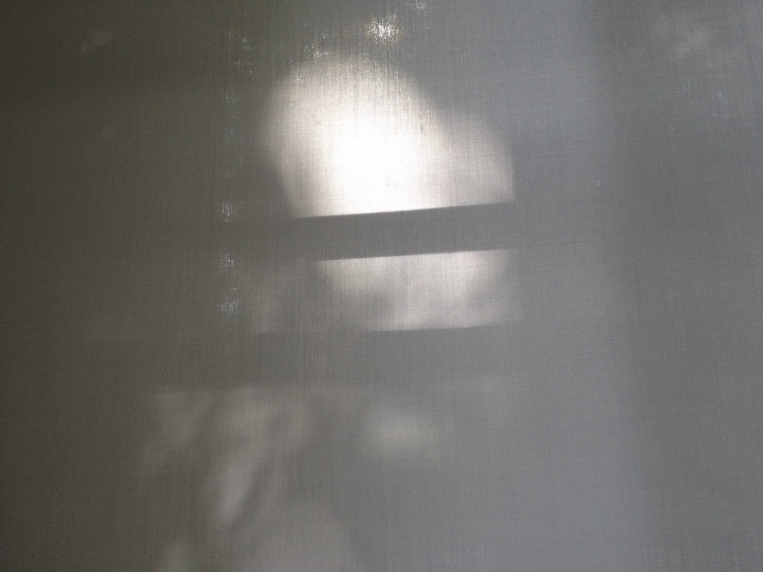 Reflection (4)