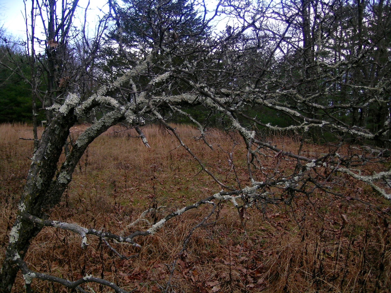 DSCN0179.jpg