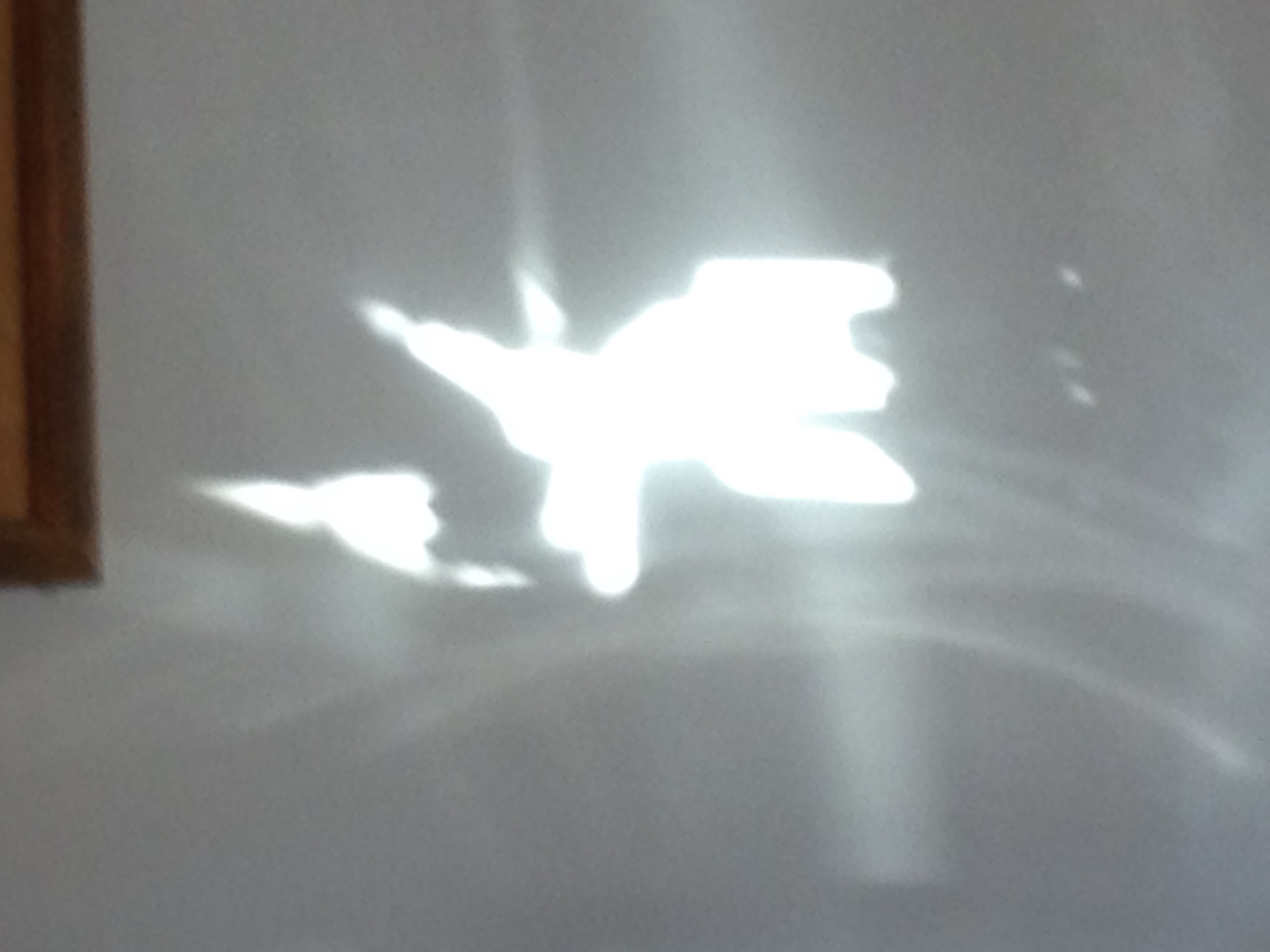 Reflection (1)