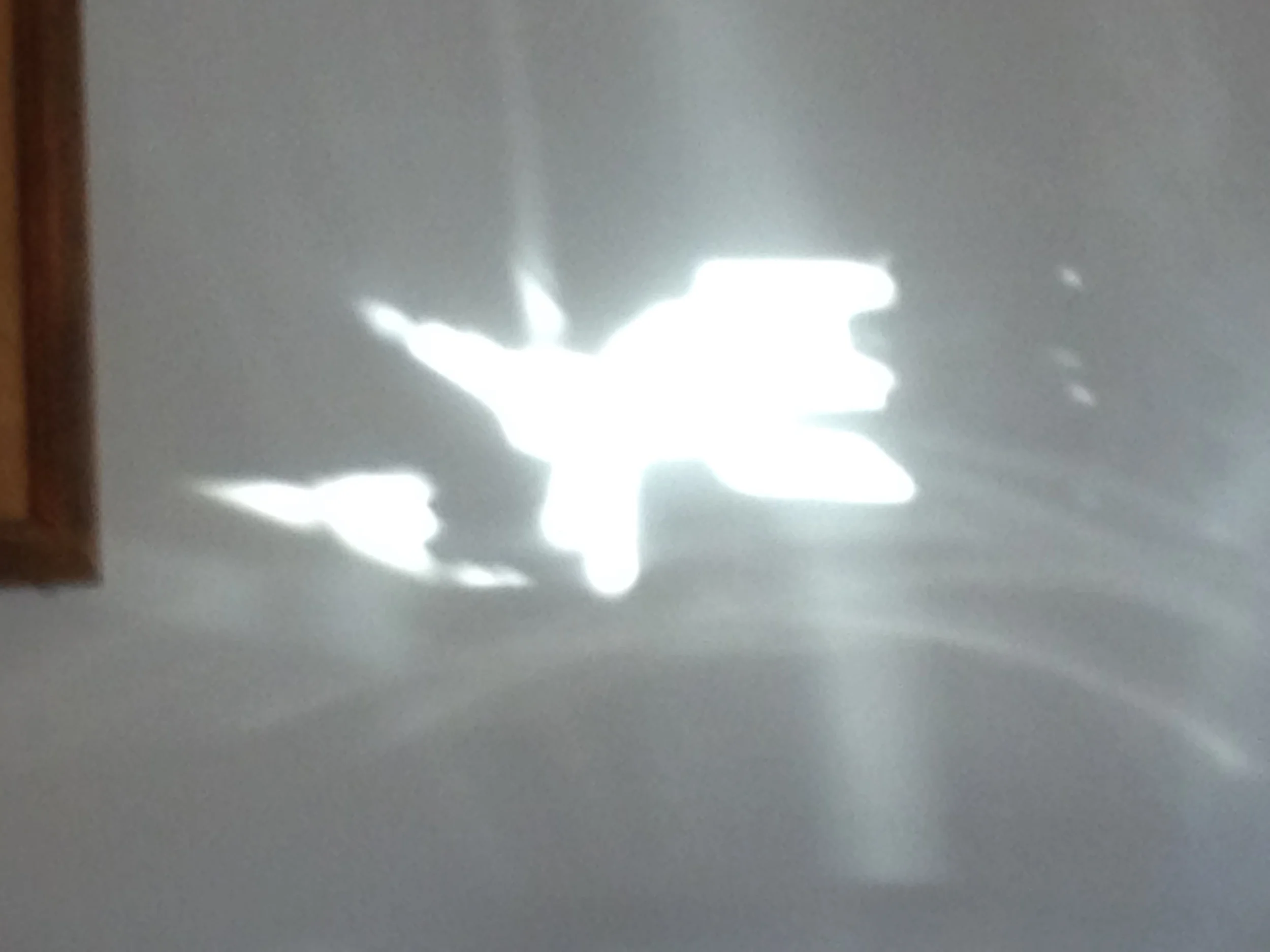 Reflection (1)