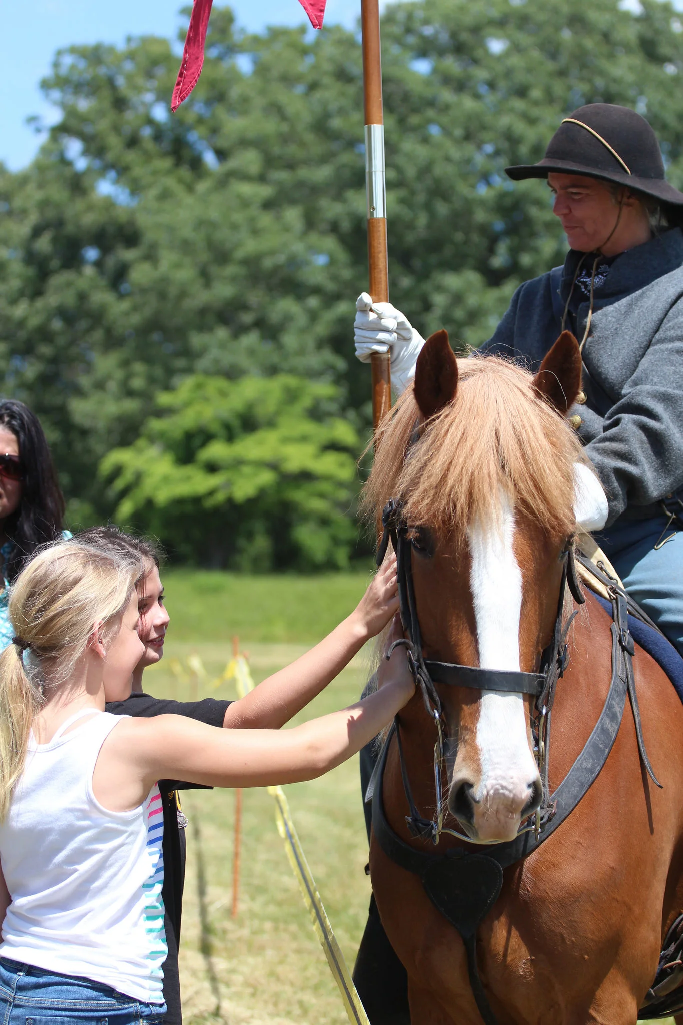 Billy, Morgan gelding