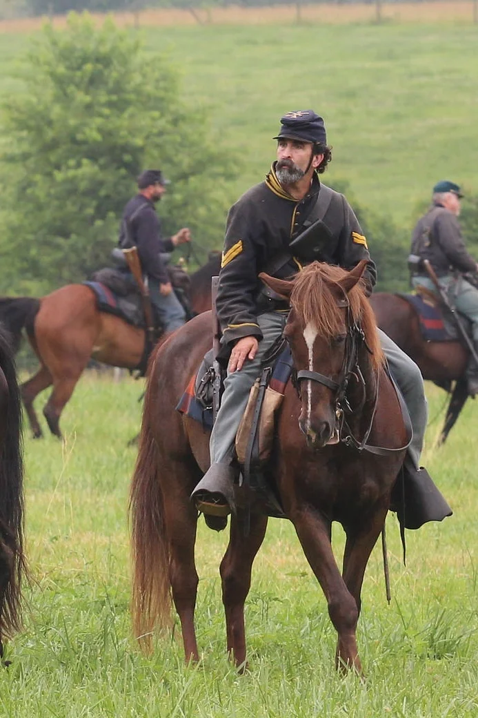 Spatha, TWH gelding