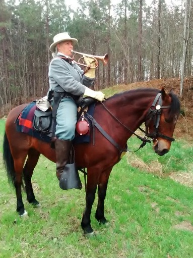 Eagle, Paso Fino gelding