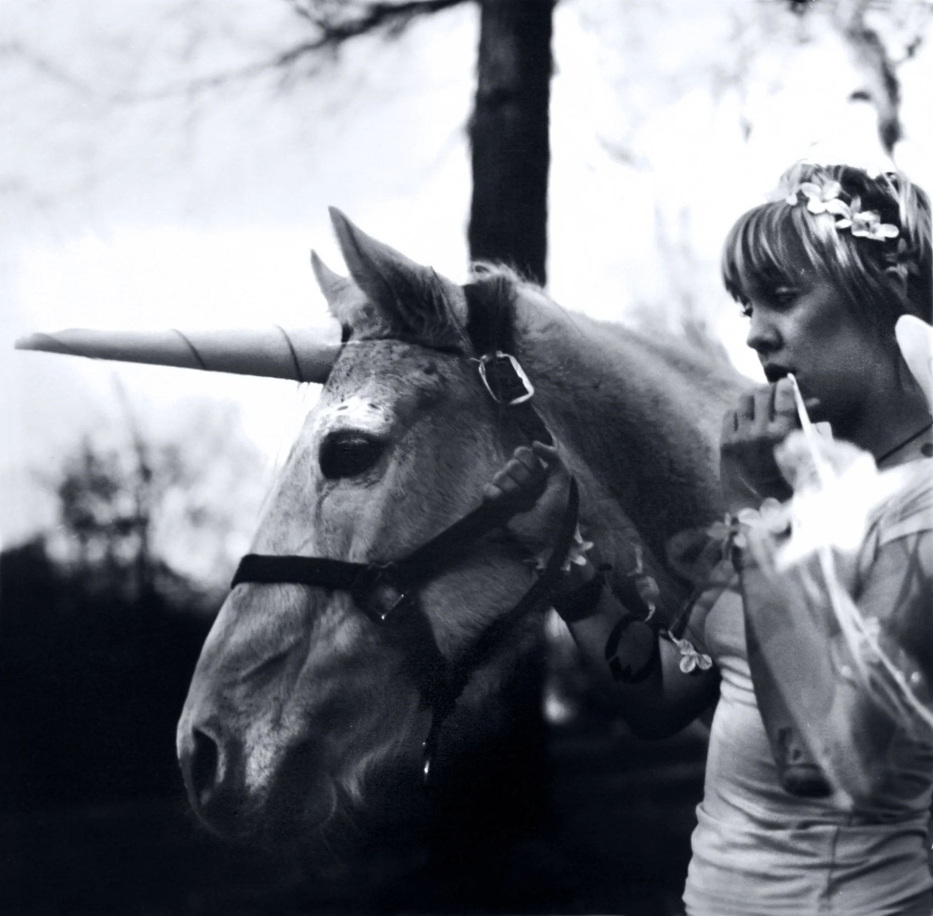 Unicorn
