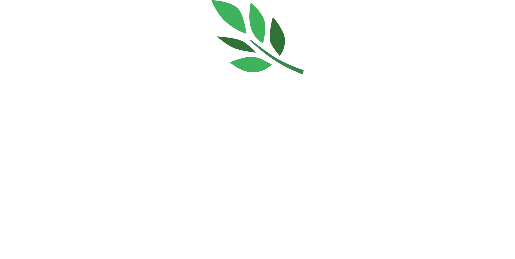 logo_pysrc_180415_white.png