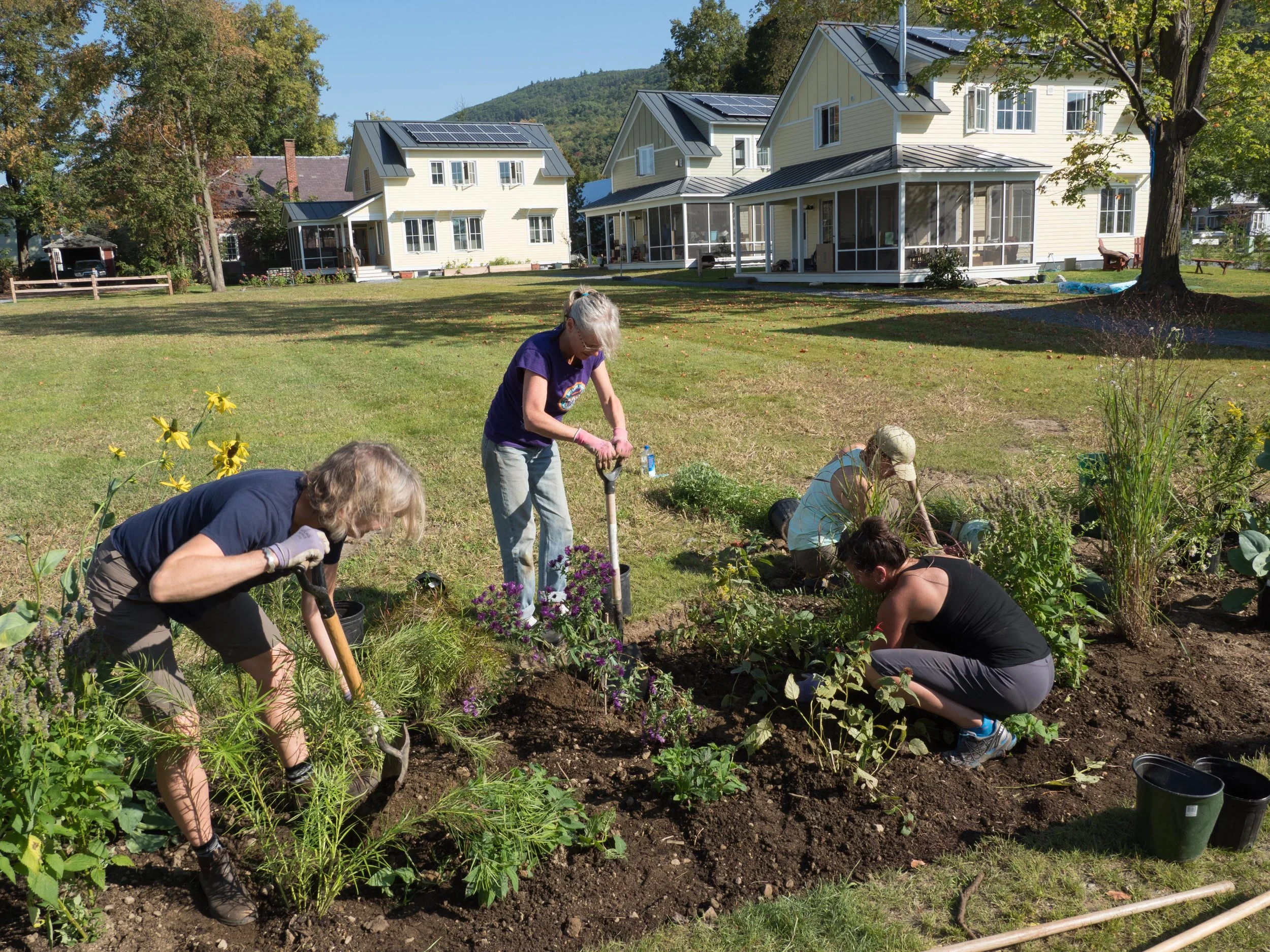 Planting the rain garden designed by Katie Raycroft-Meyer, our landscape architect.