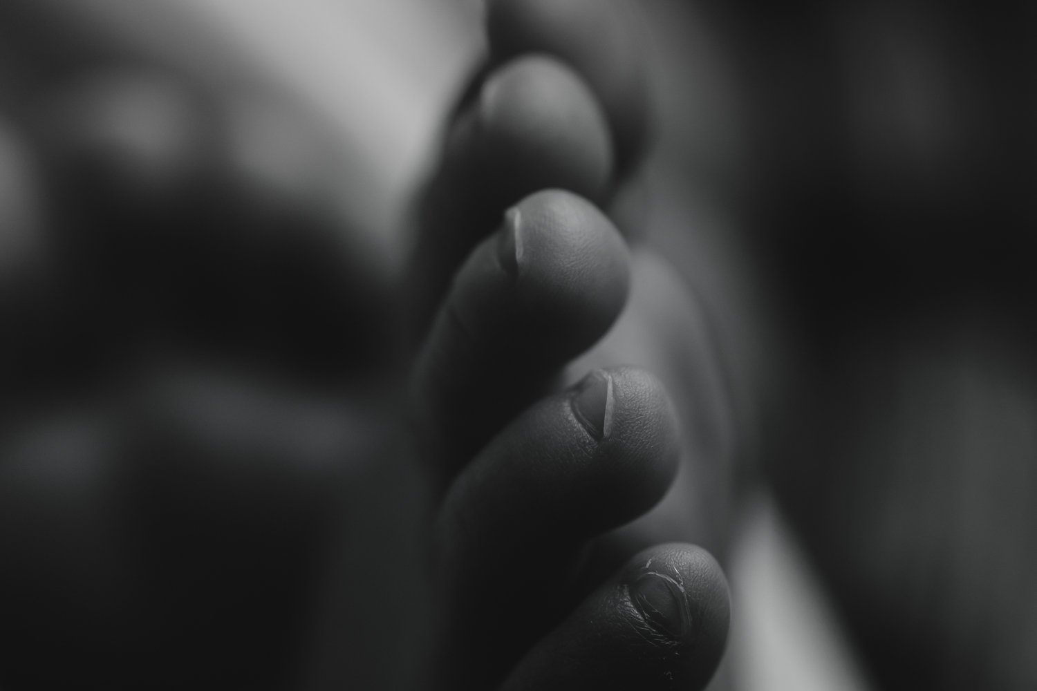 GUILLERMObyn (2 of 2).JPG