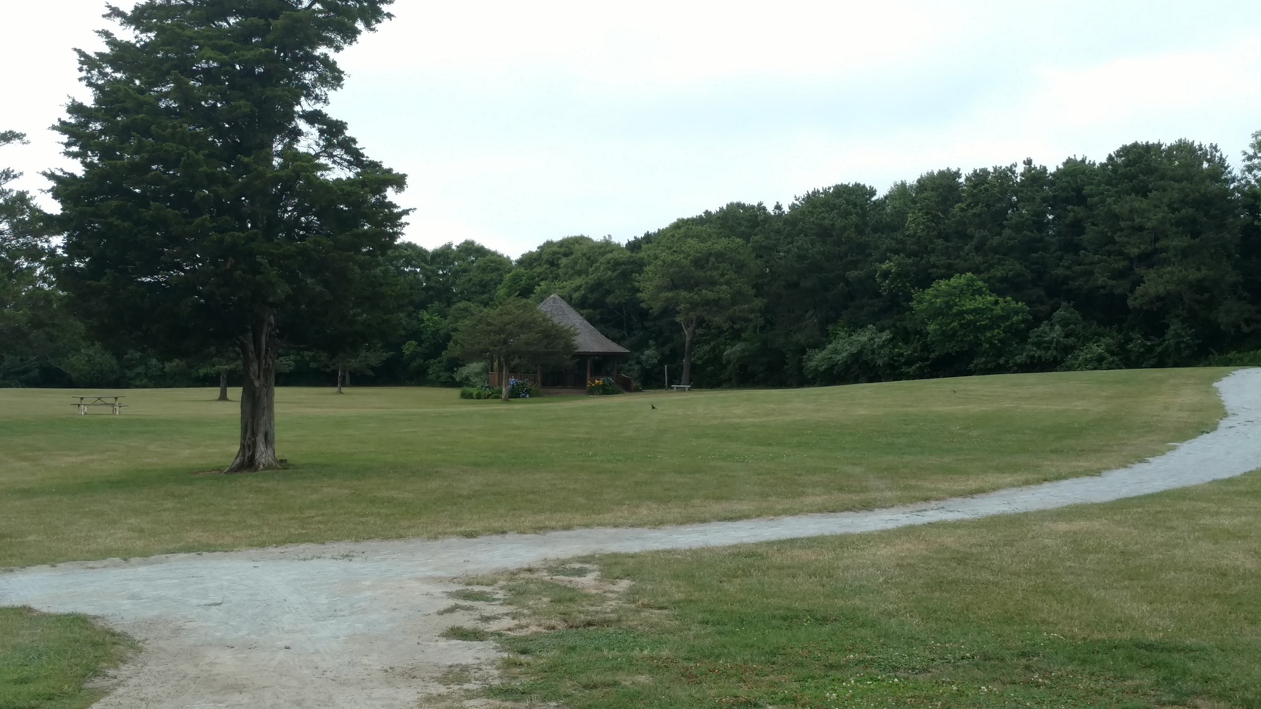 IMG_20160709_171535173.jpg