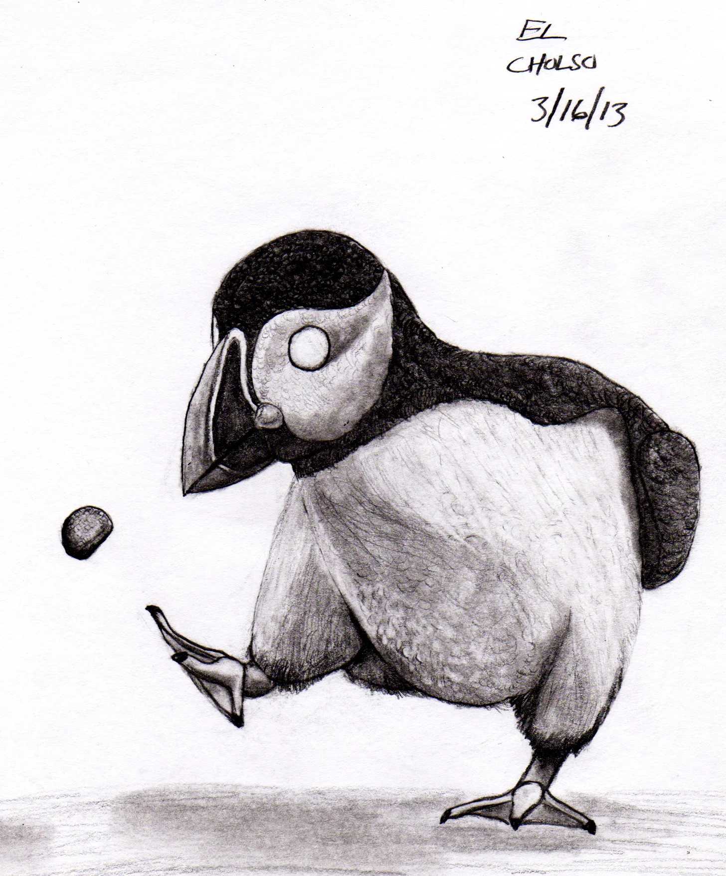 20130316_puffin.jpg