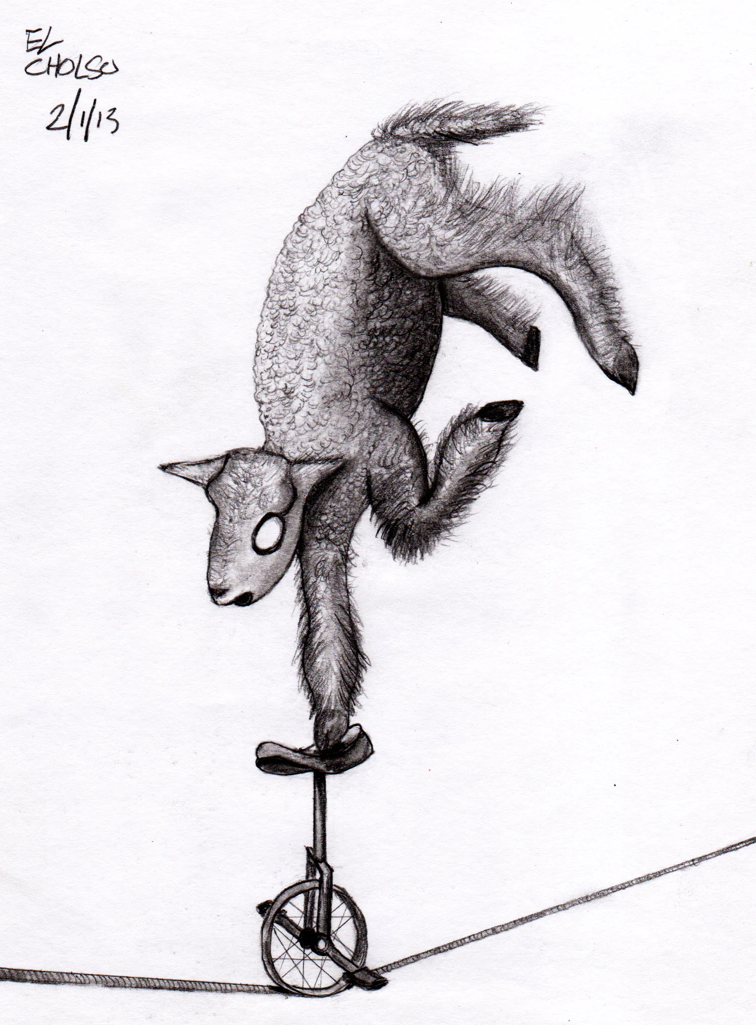20130201_lamb.jpg