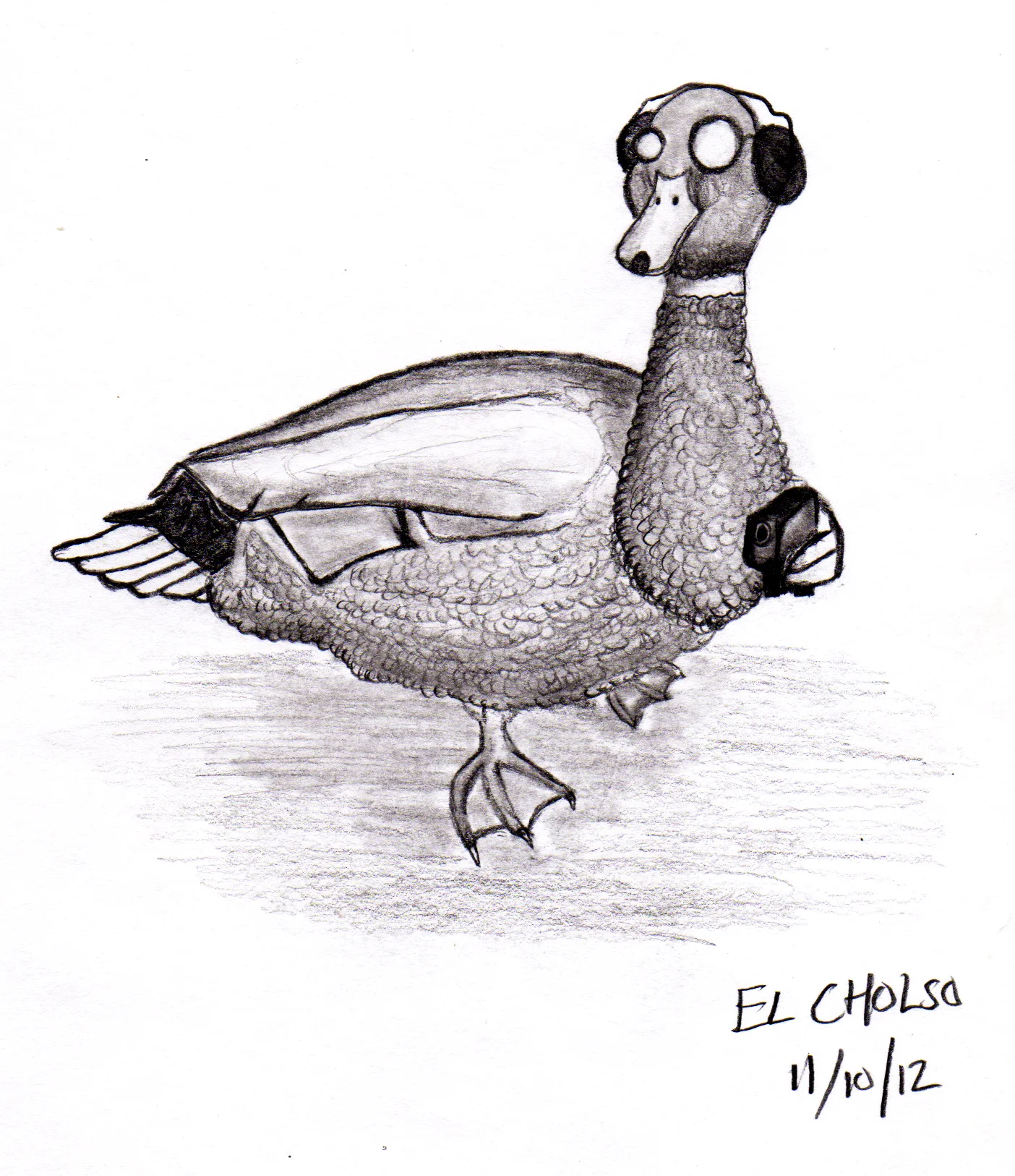 20121110_duck.jpg