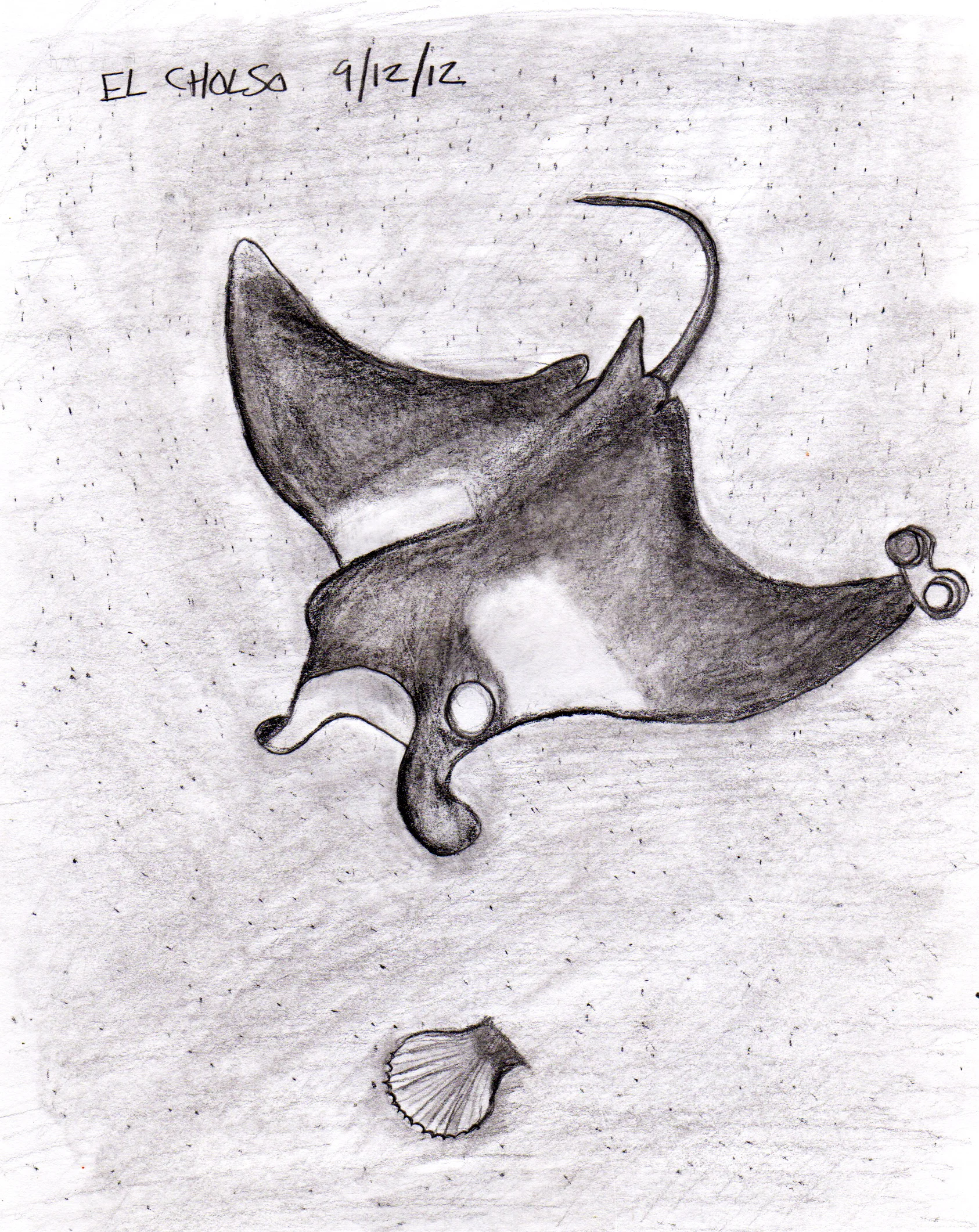 20120912_stingray.jpg