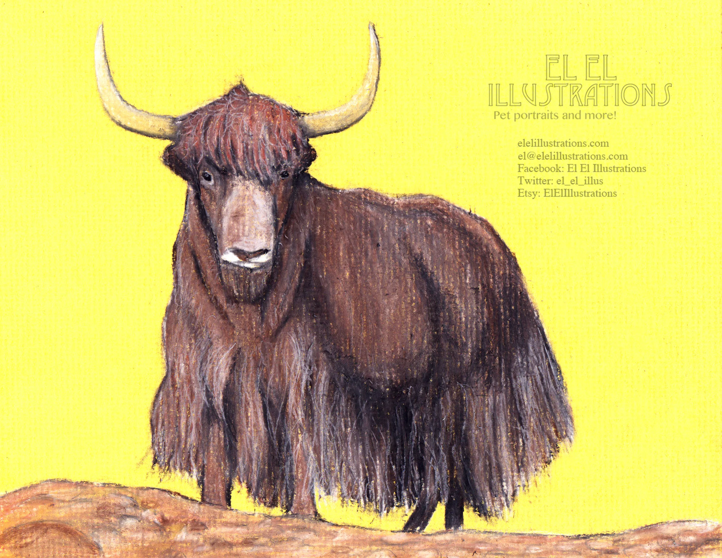 yak.jpg