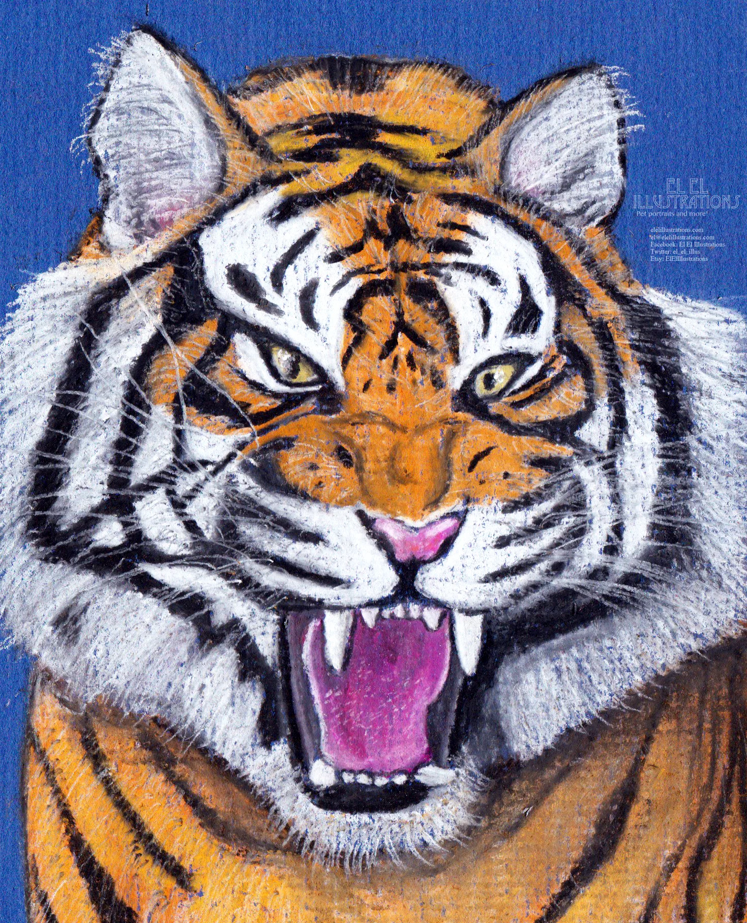 tiger.jpg