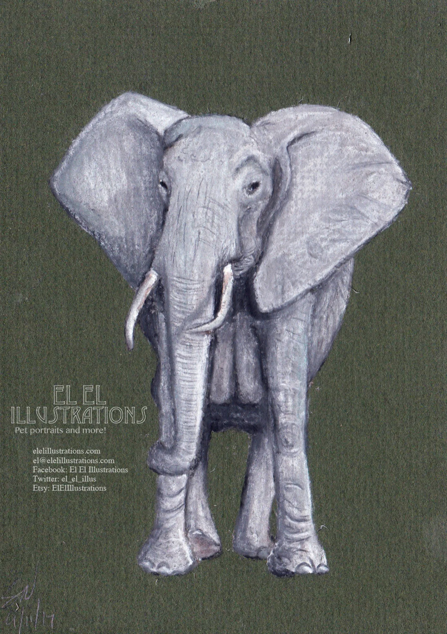 elephant2.jpg