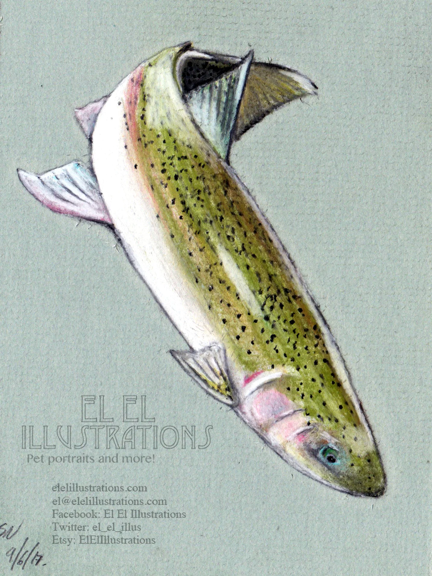 trout.jpg