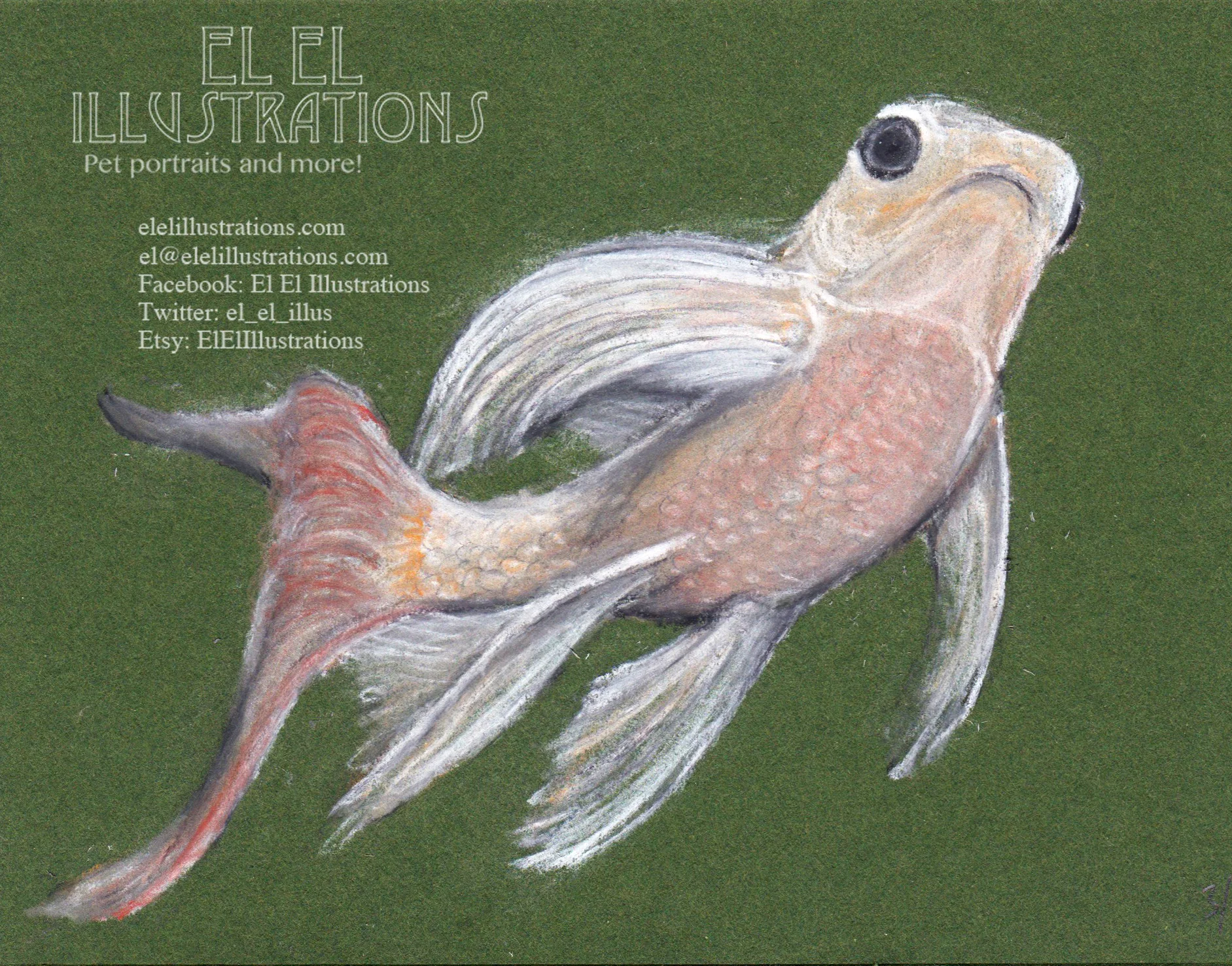 koi.jpg