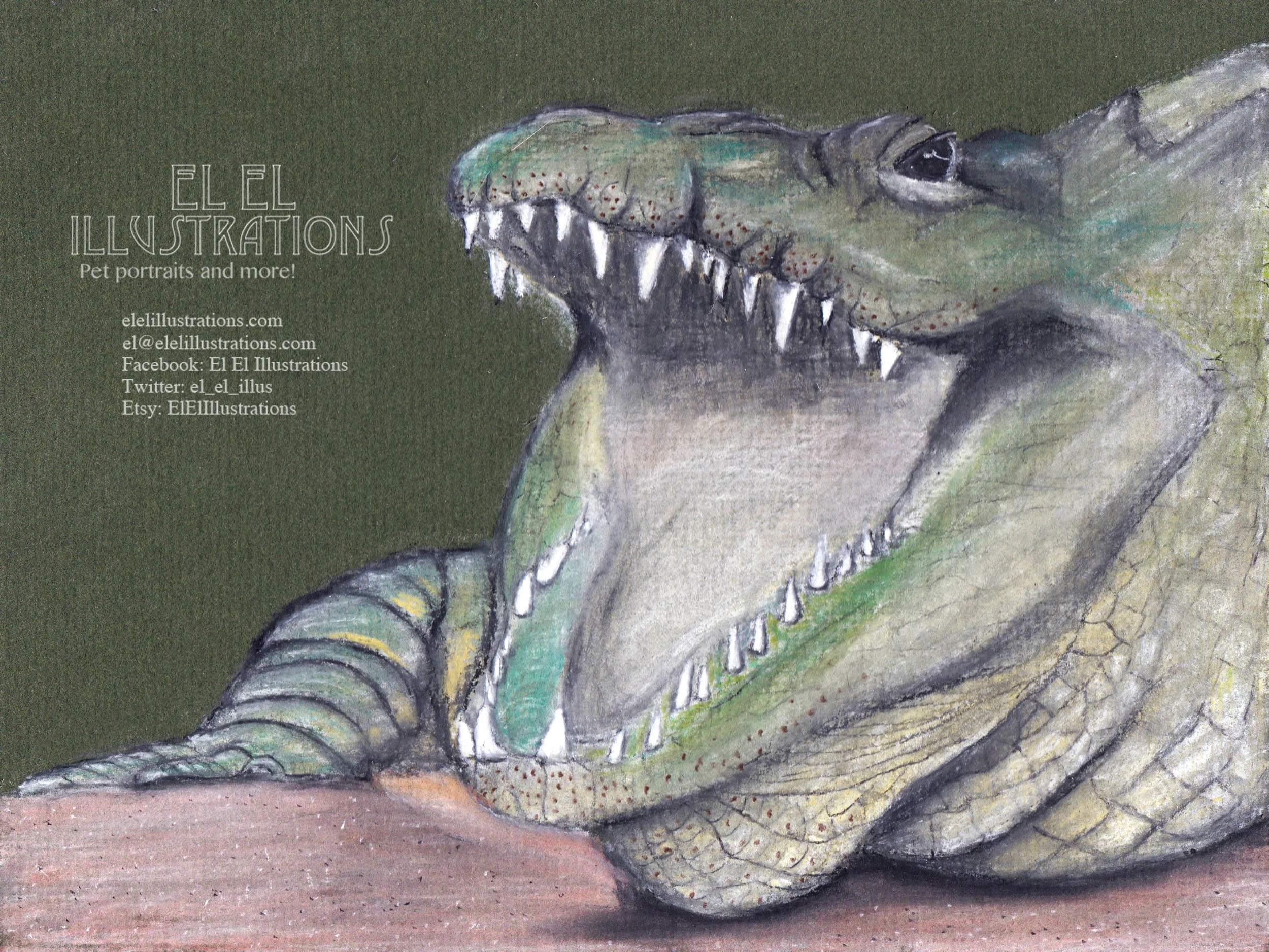 crocodile+.jpg