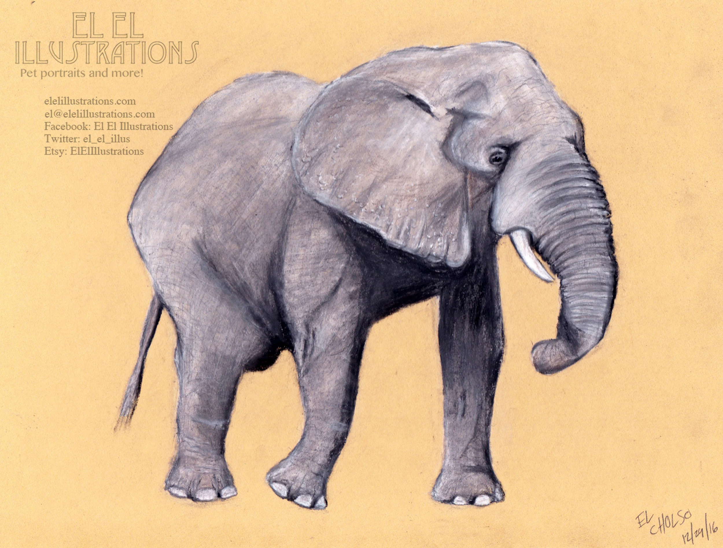 elephant.jpg