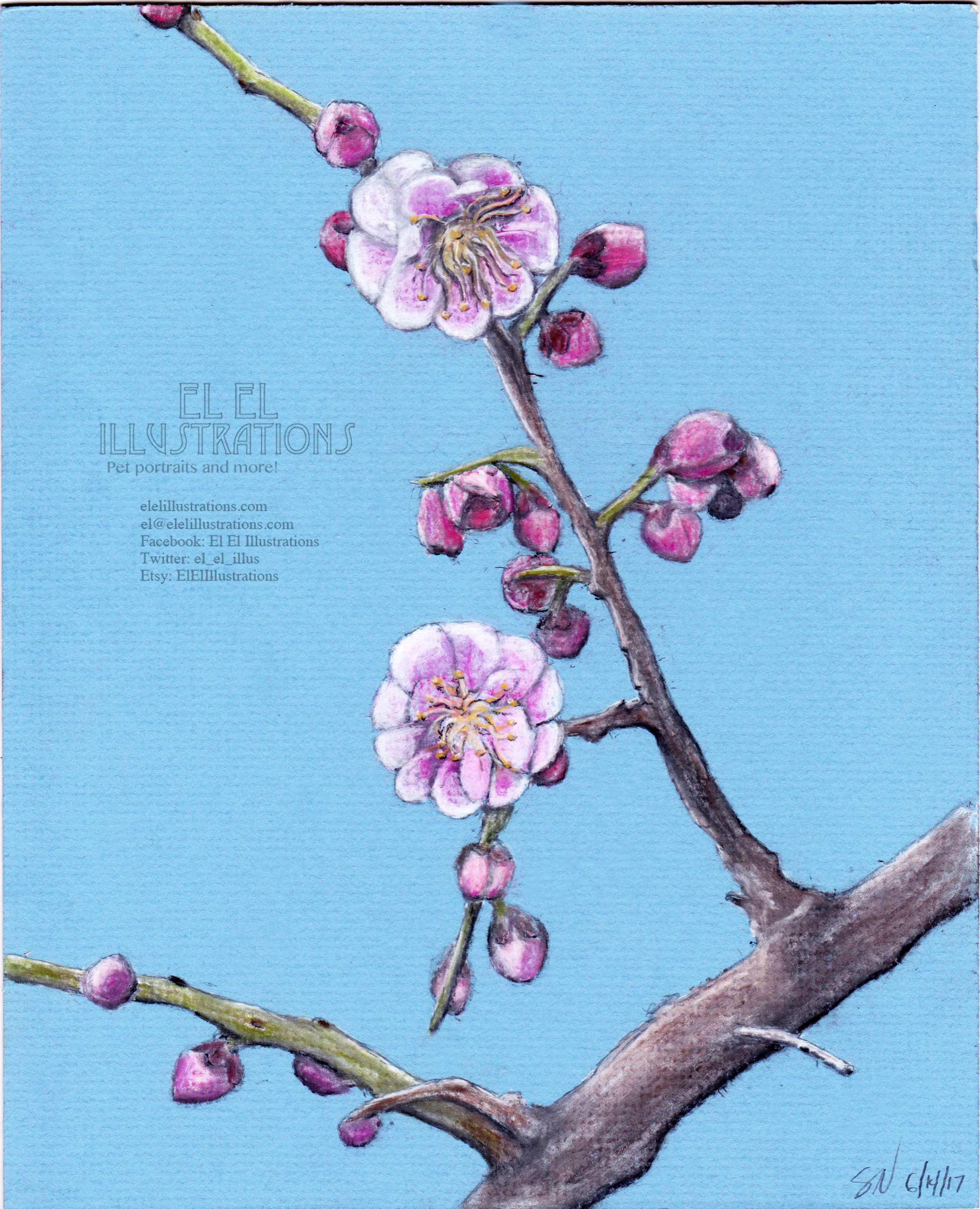 flowers6.jpg