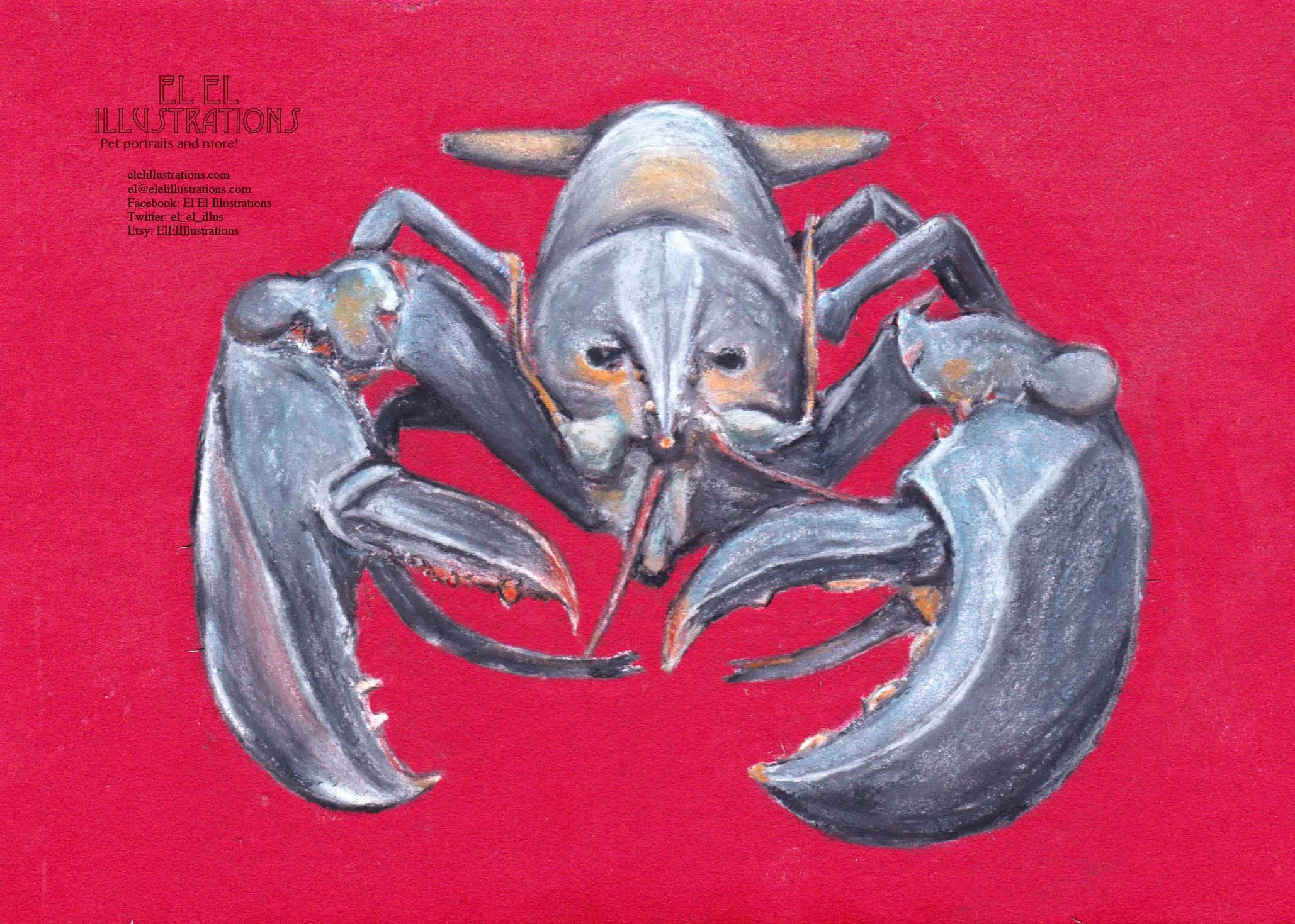 lobster_wm.jpg