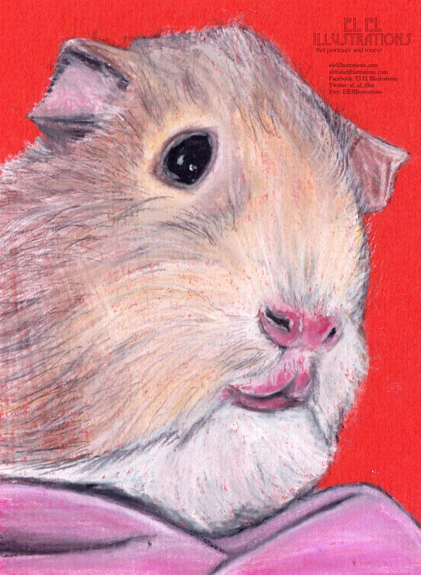 guineapig_wm.jpg