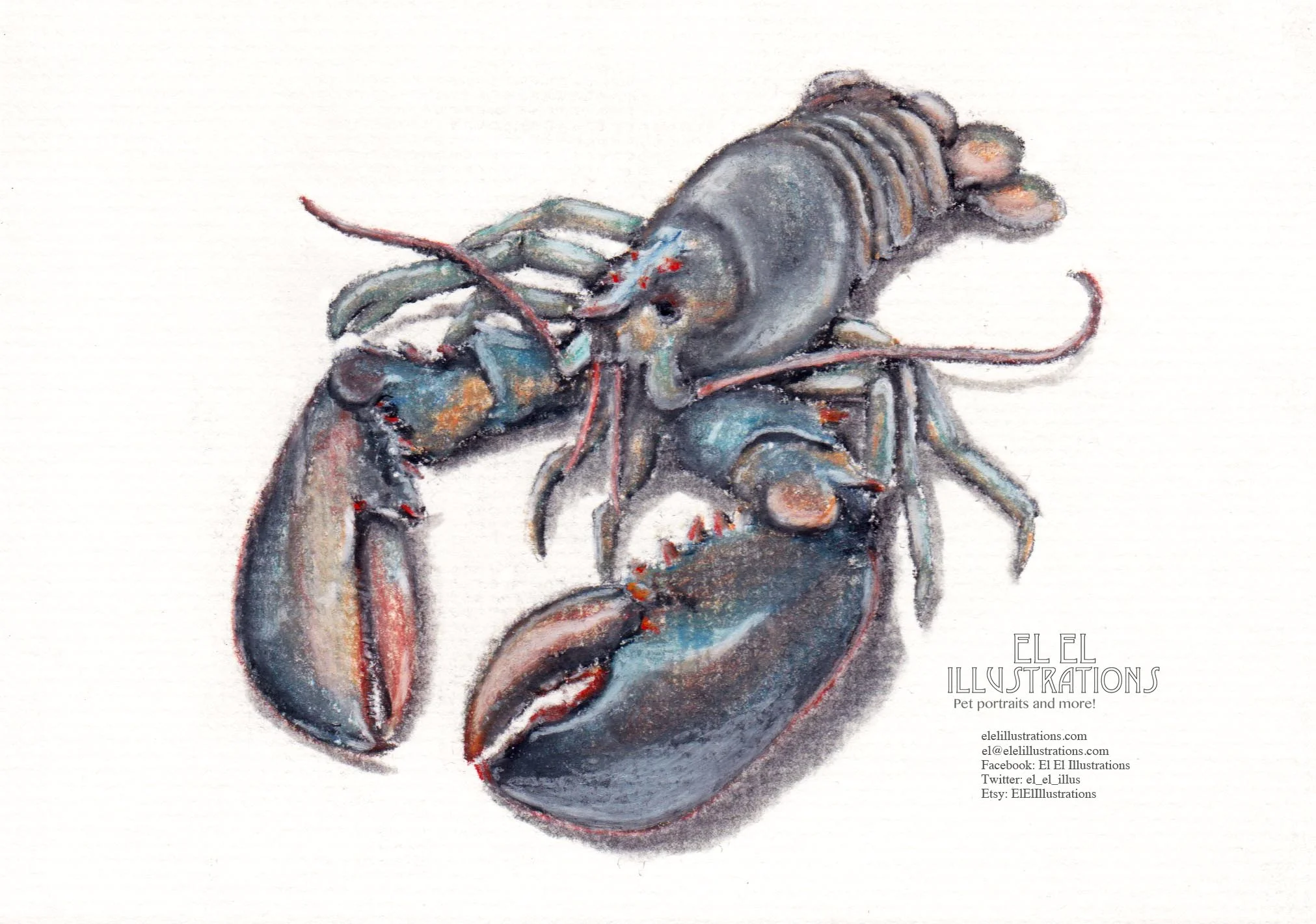 lobster2_wm.jpg