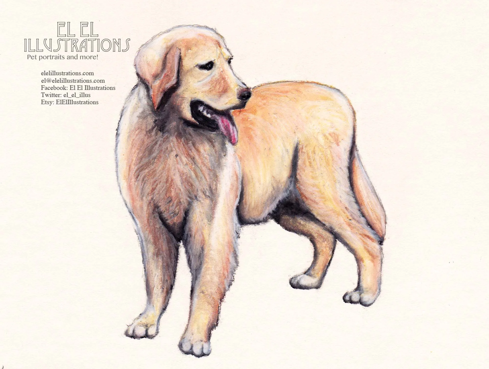 bardog_wm.jpg