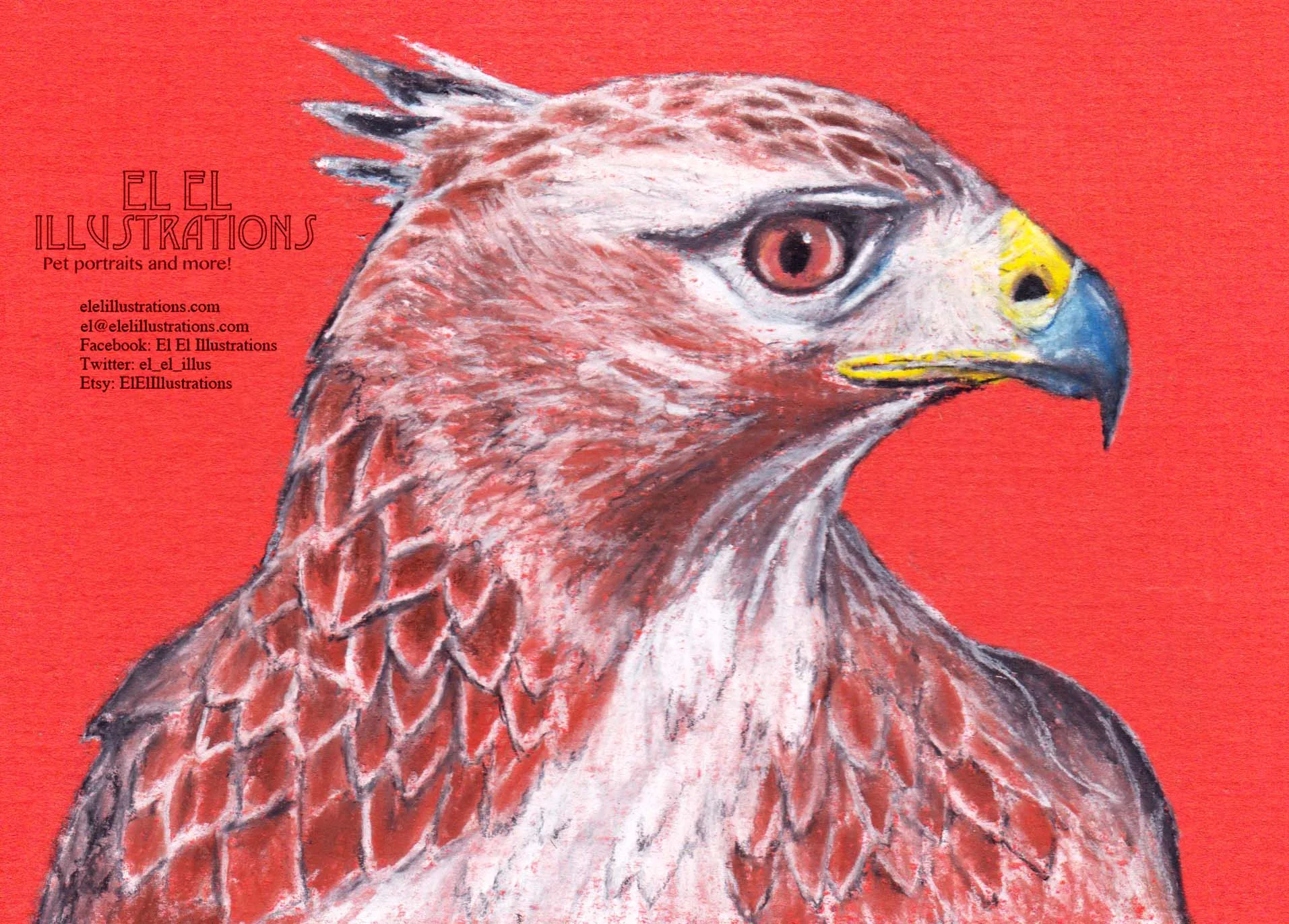 hawkhead_wm.jpg