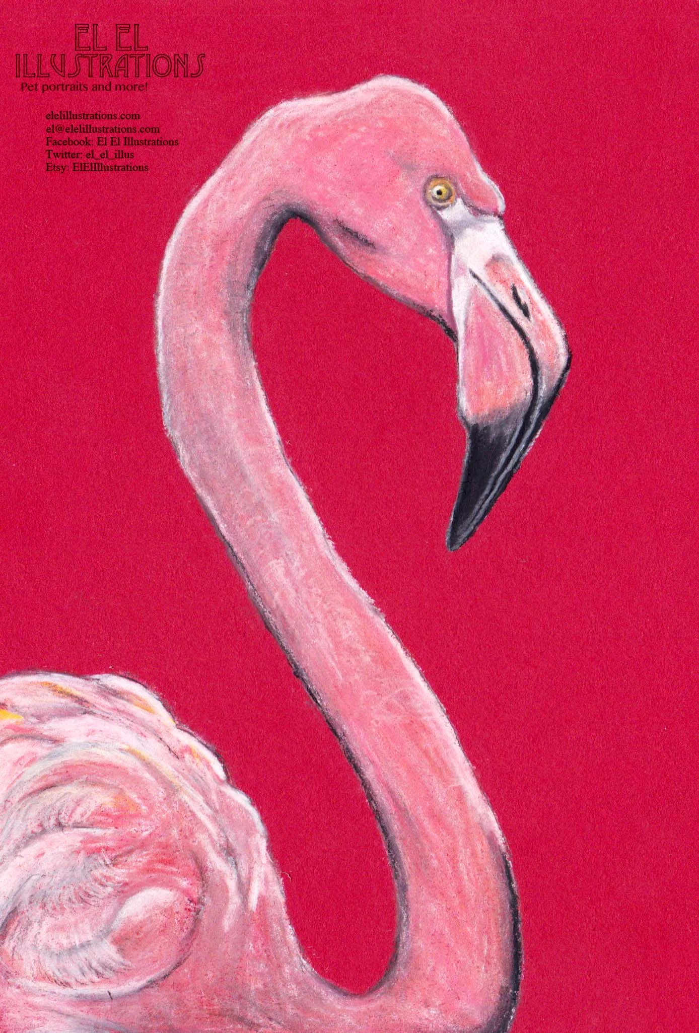 flamingo3_wm.jpg