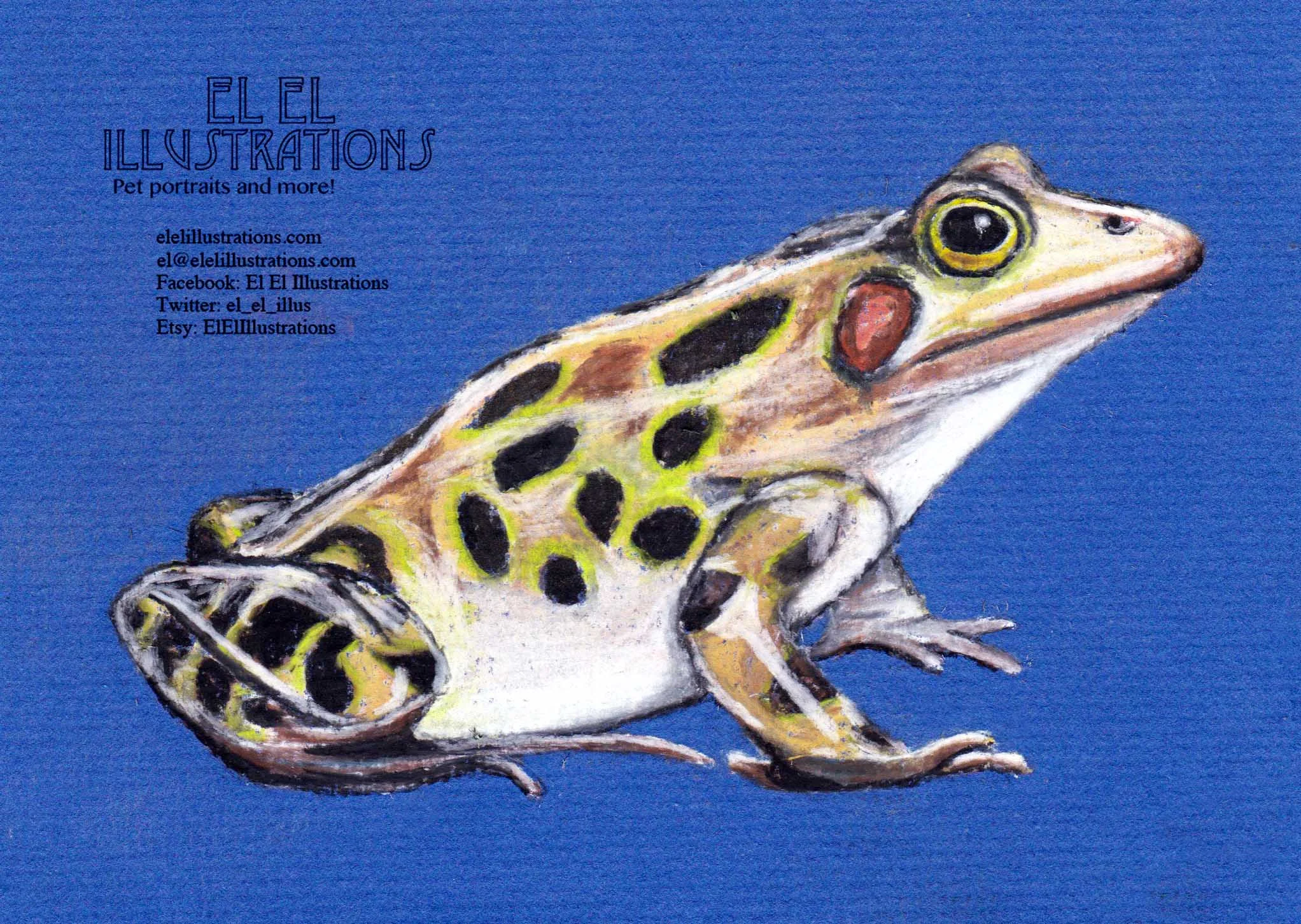 frog_wm.jpg