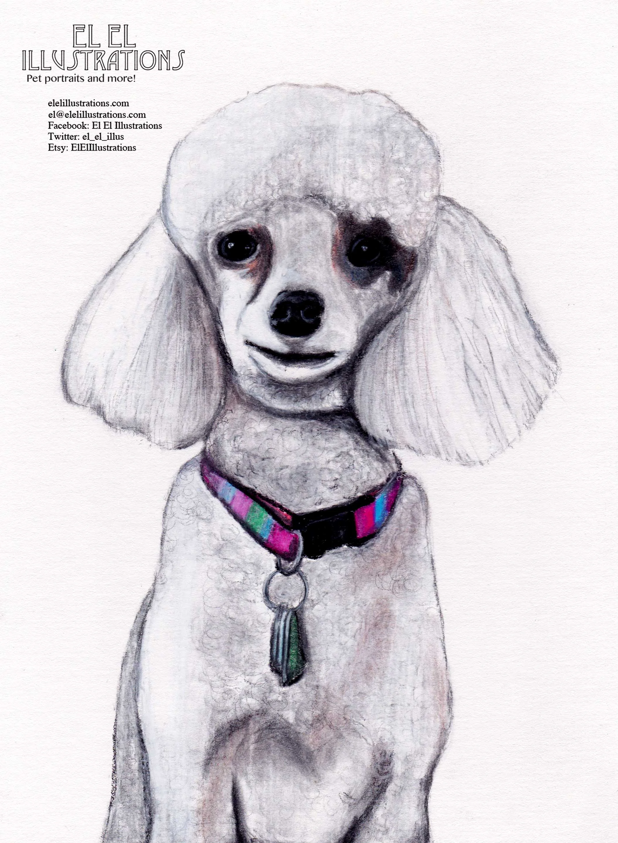 luann_dog2_wm.jpg