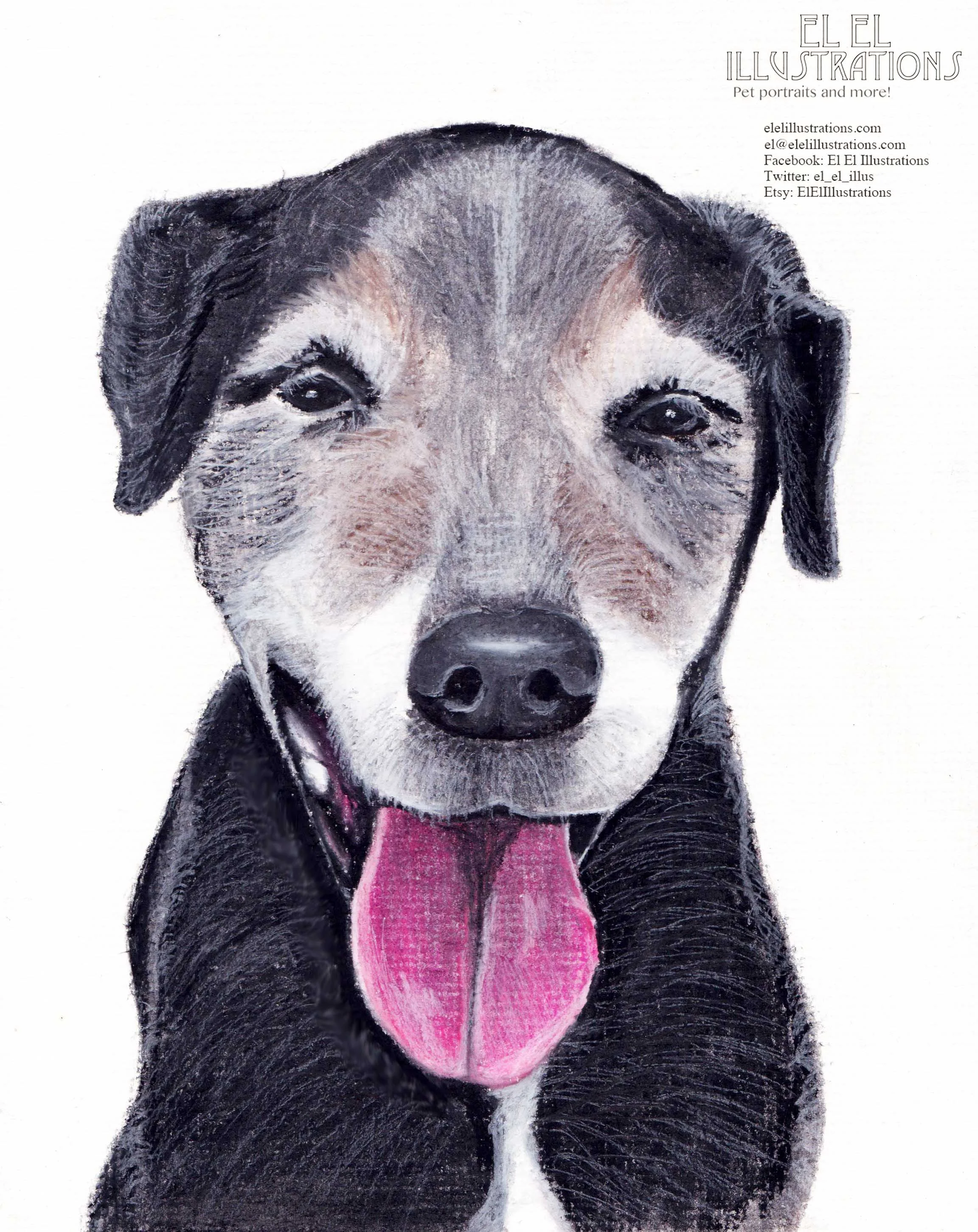 maxthedog_wm.jpg