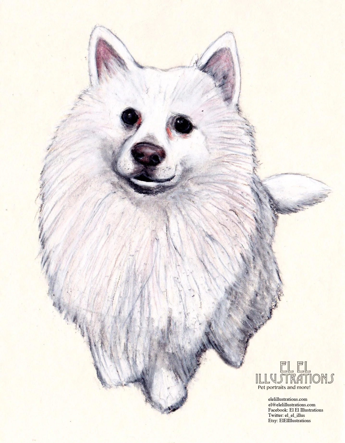 pocky_dog_wm.jpg