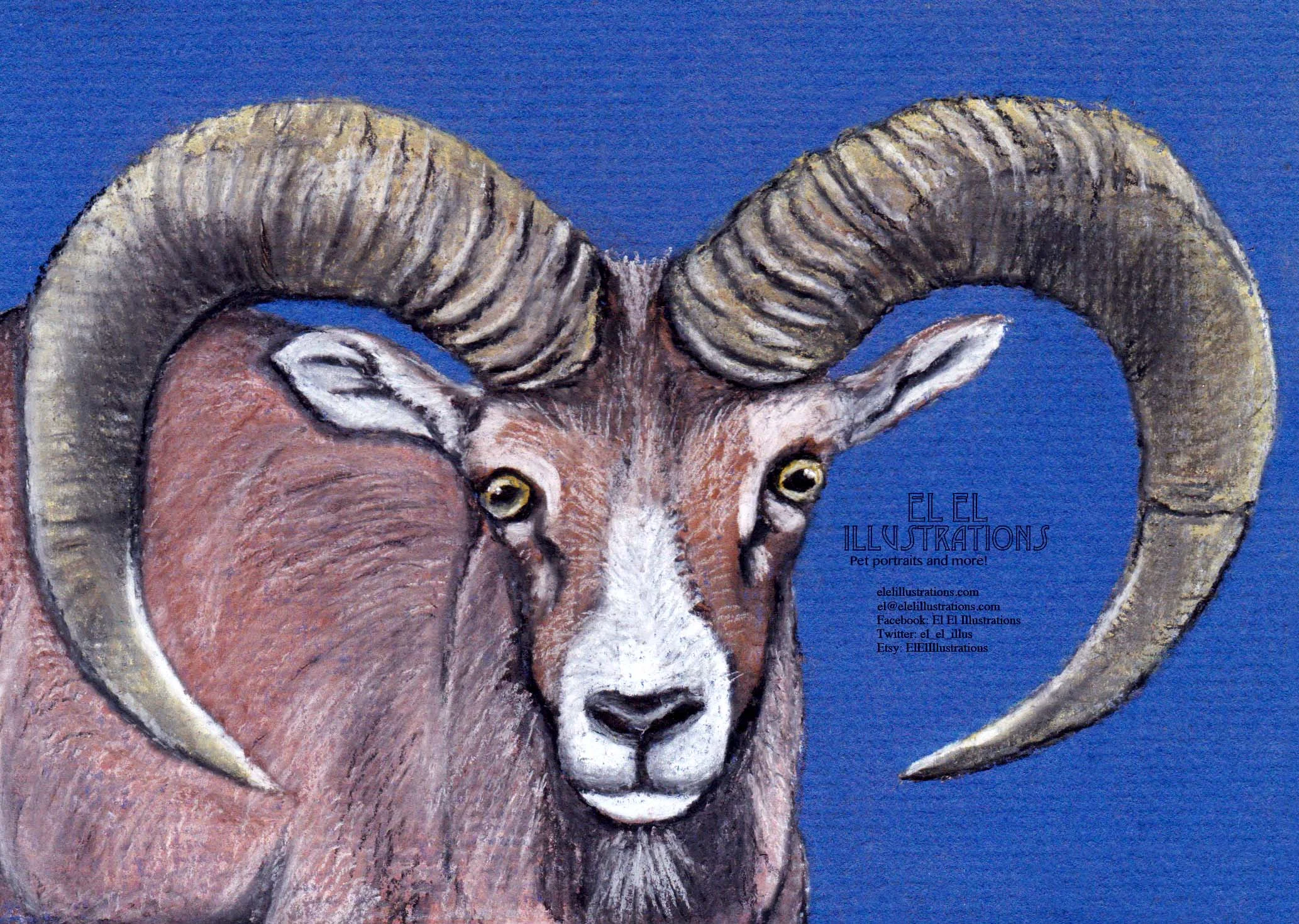 goat2_wm.jpg
