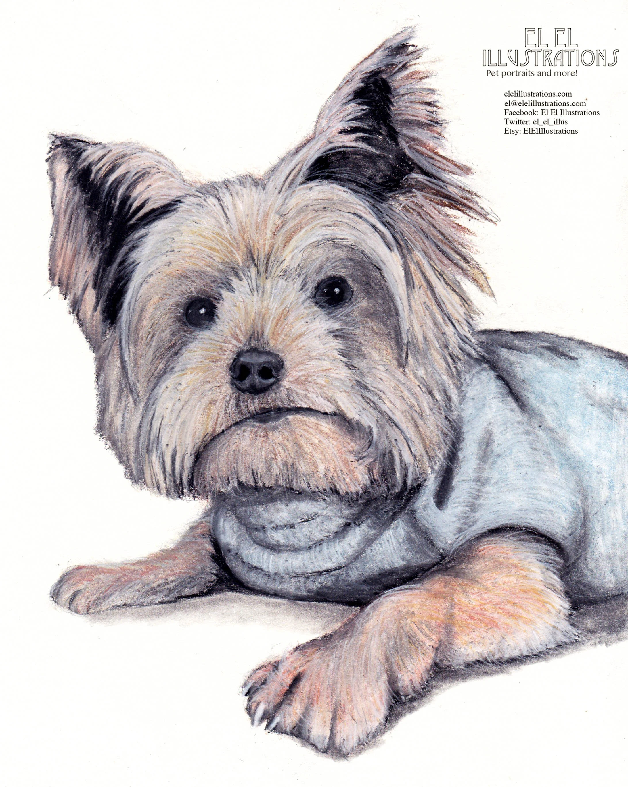 daisy_dog_wm.jpg