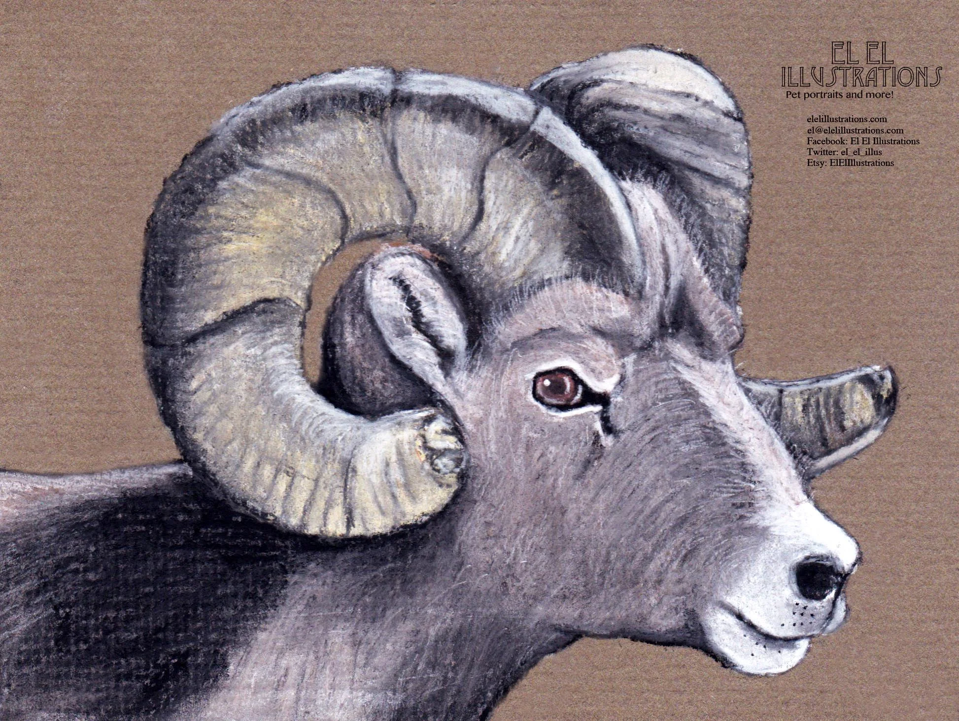 ram_wm.jpg