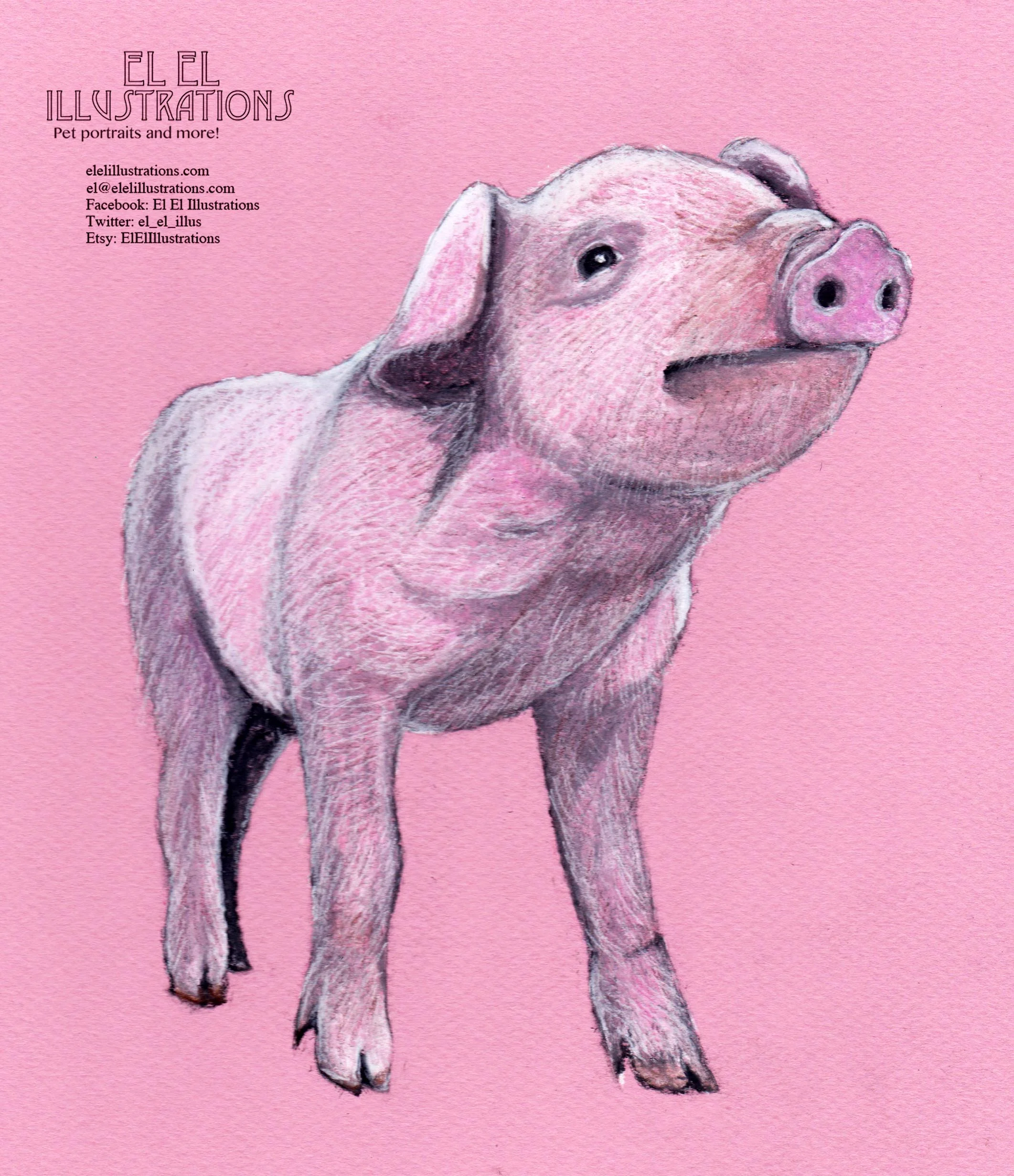 pig_wm.jpg